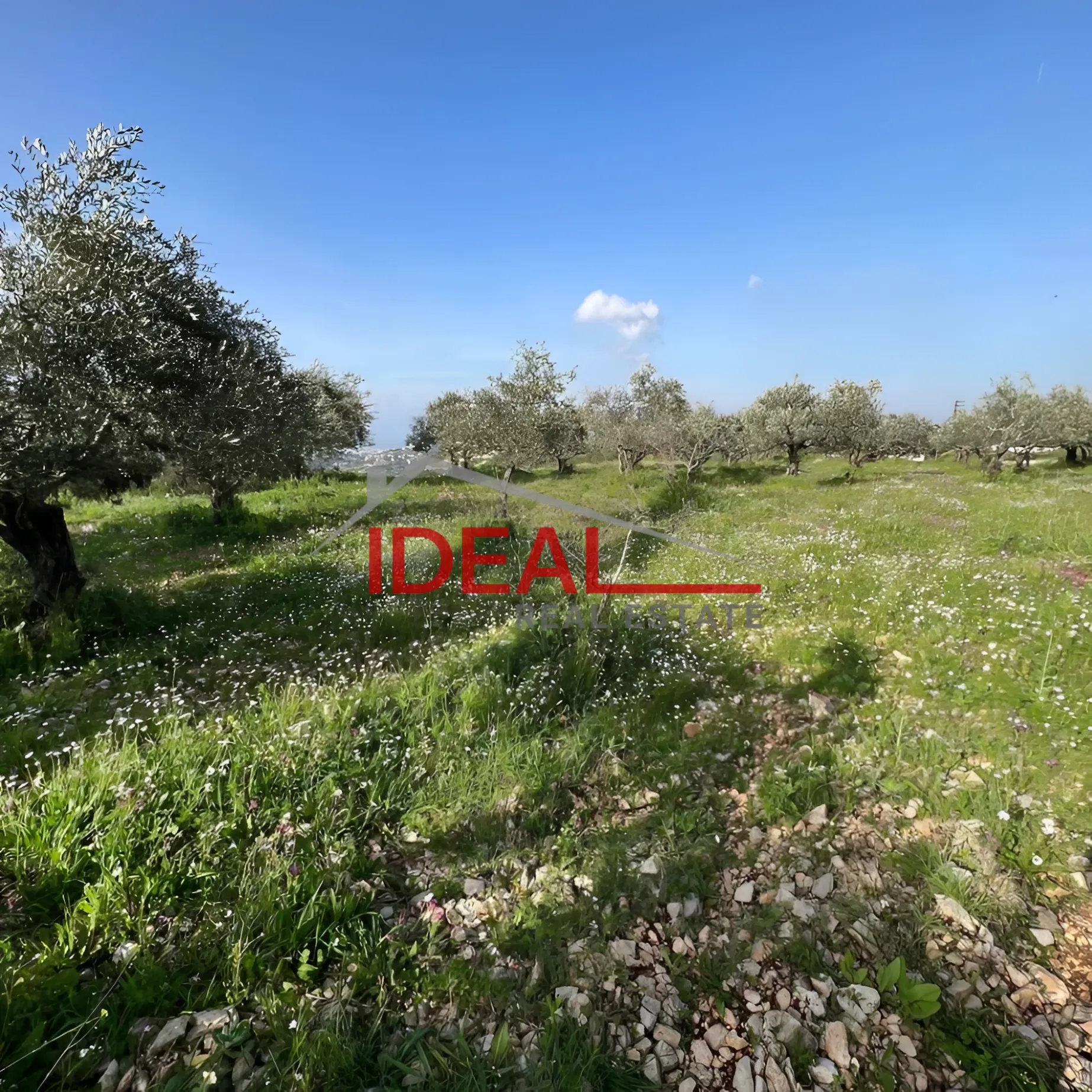 Land for Sale in Rachkida, Lebanon