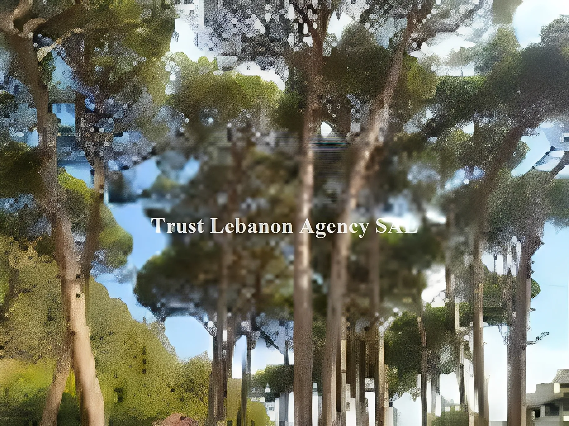 Land for Sale in Metn Jouret El Ballout Lebanon