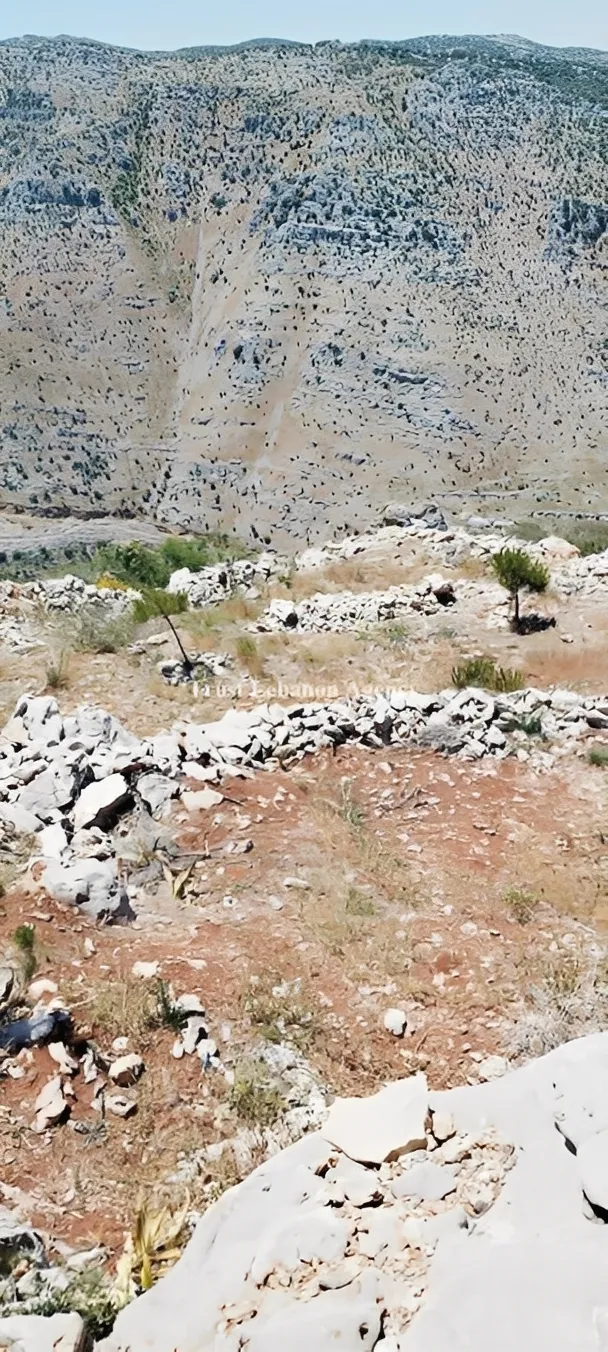 Land for Sale in Nabatiye Lebanon