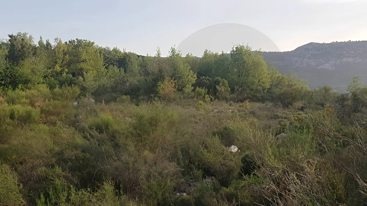 Land for Sale in Lehfed