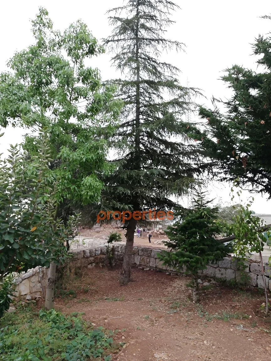 Land for Sale in Ghineh