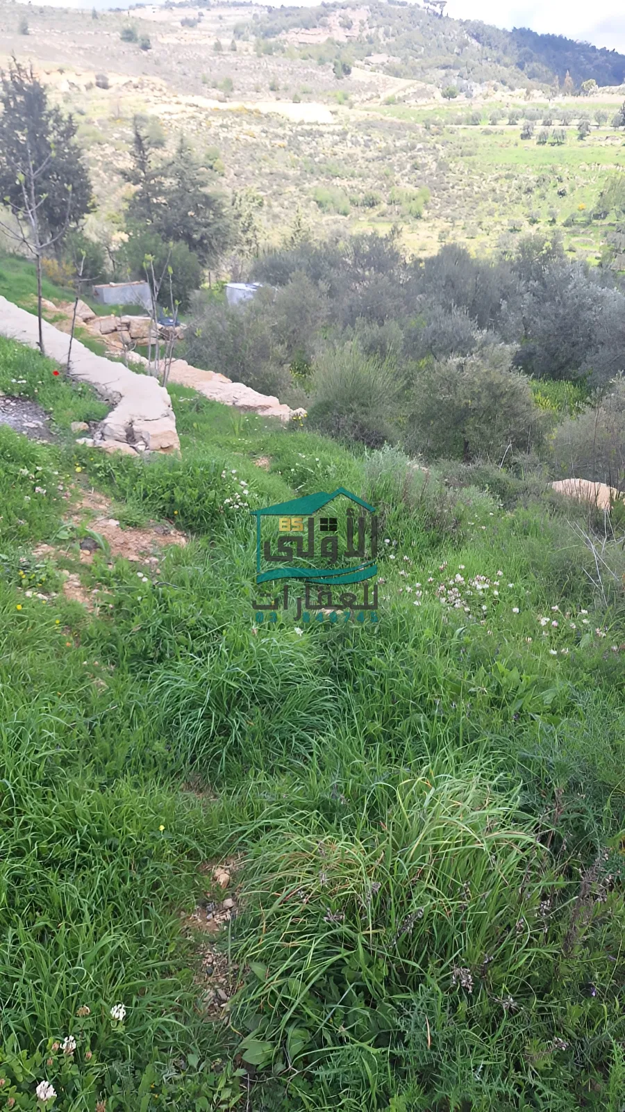 Land for sale in مزرعة الشوف، lebanon