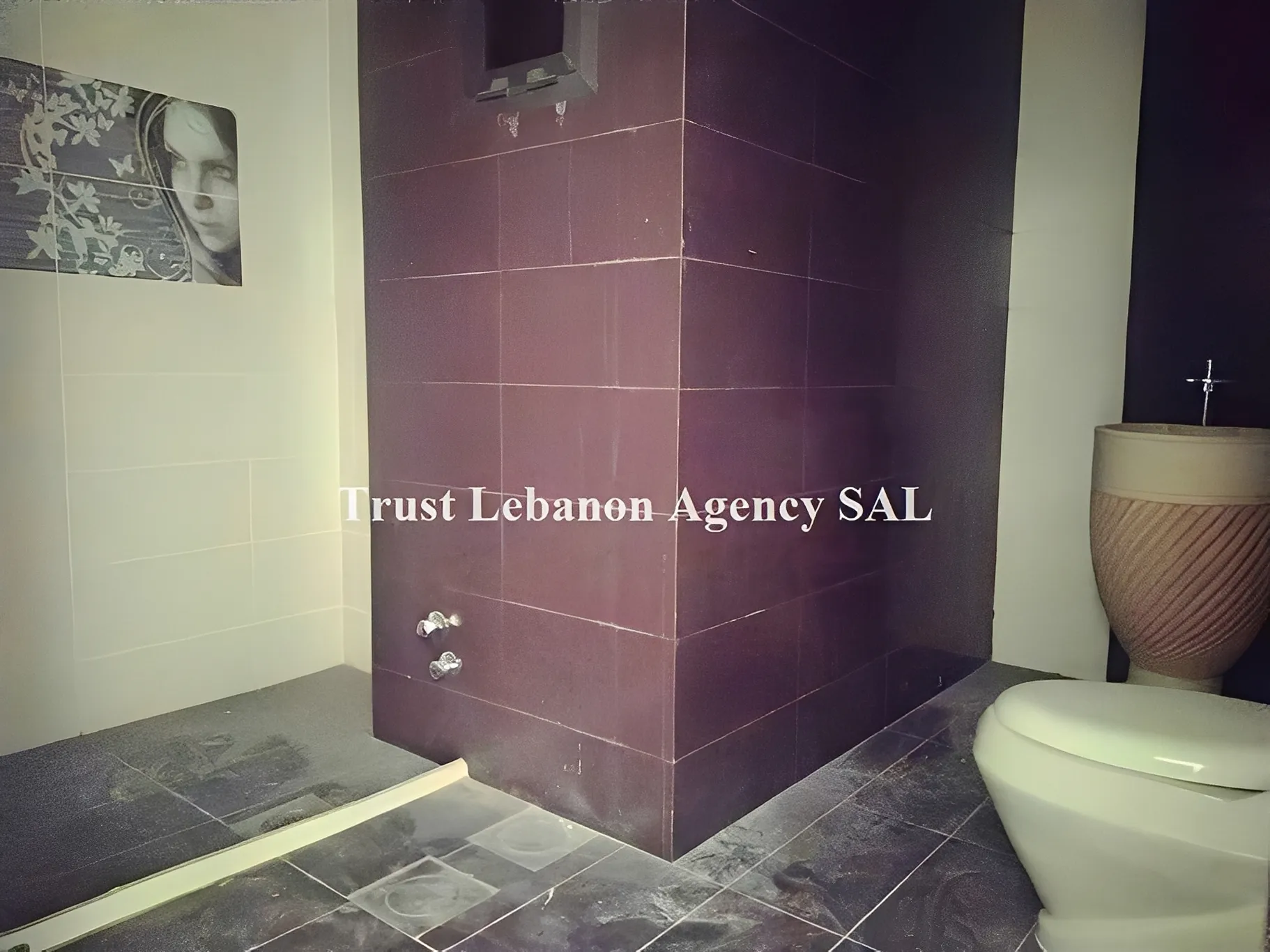 Duplex for Sale in Metn Ain saade Lebanon