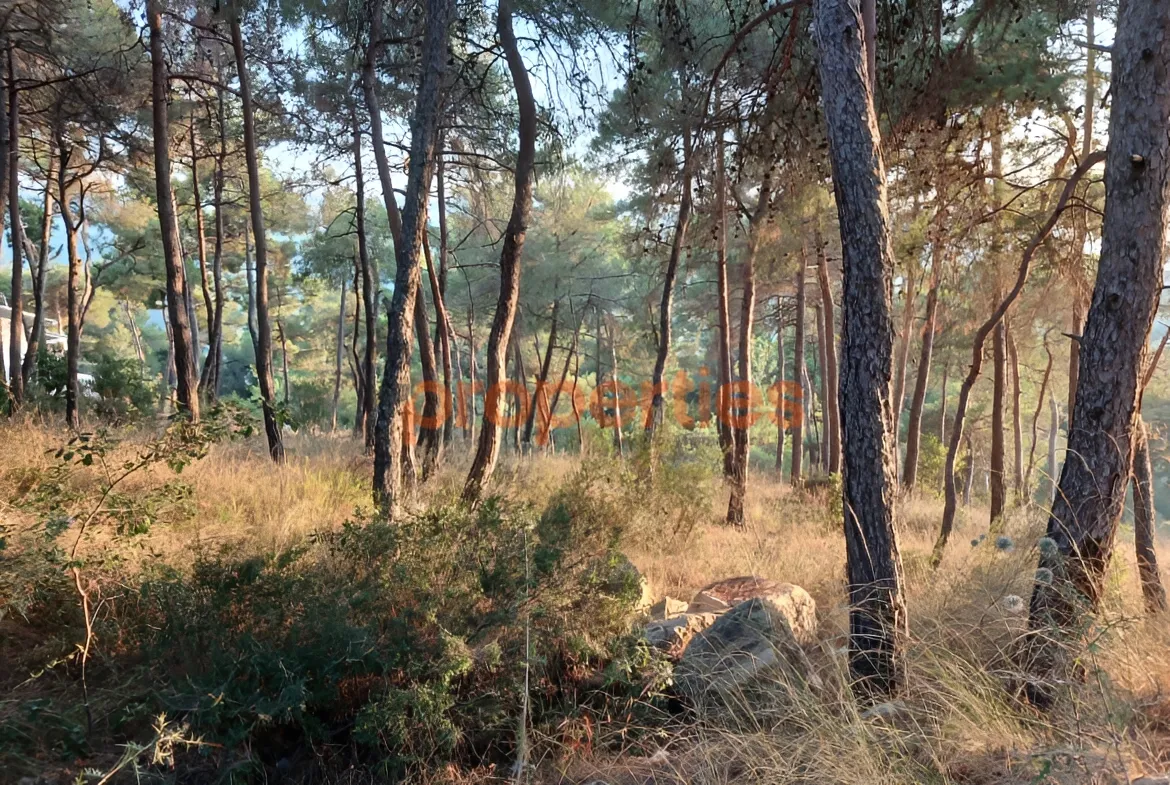 Residential Land for Sale in Baabdat