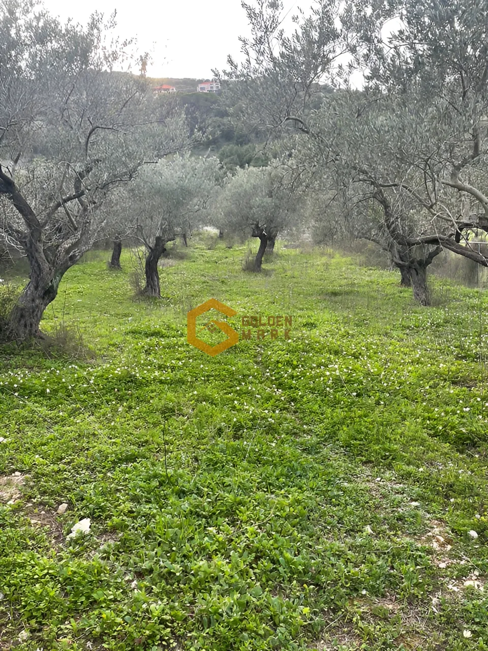 Land for Sale in Ain Kfaa