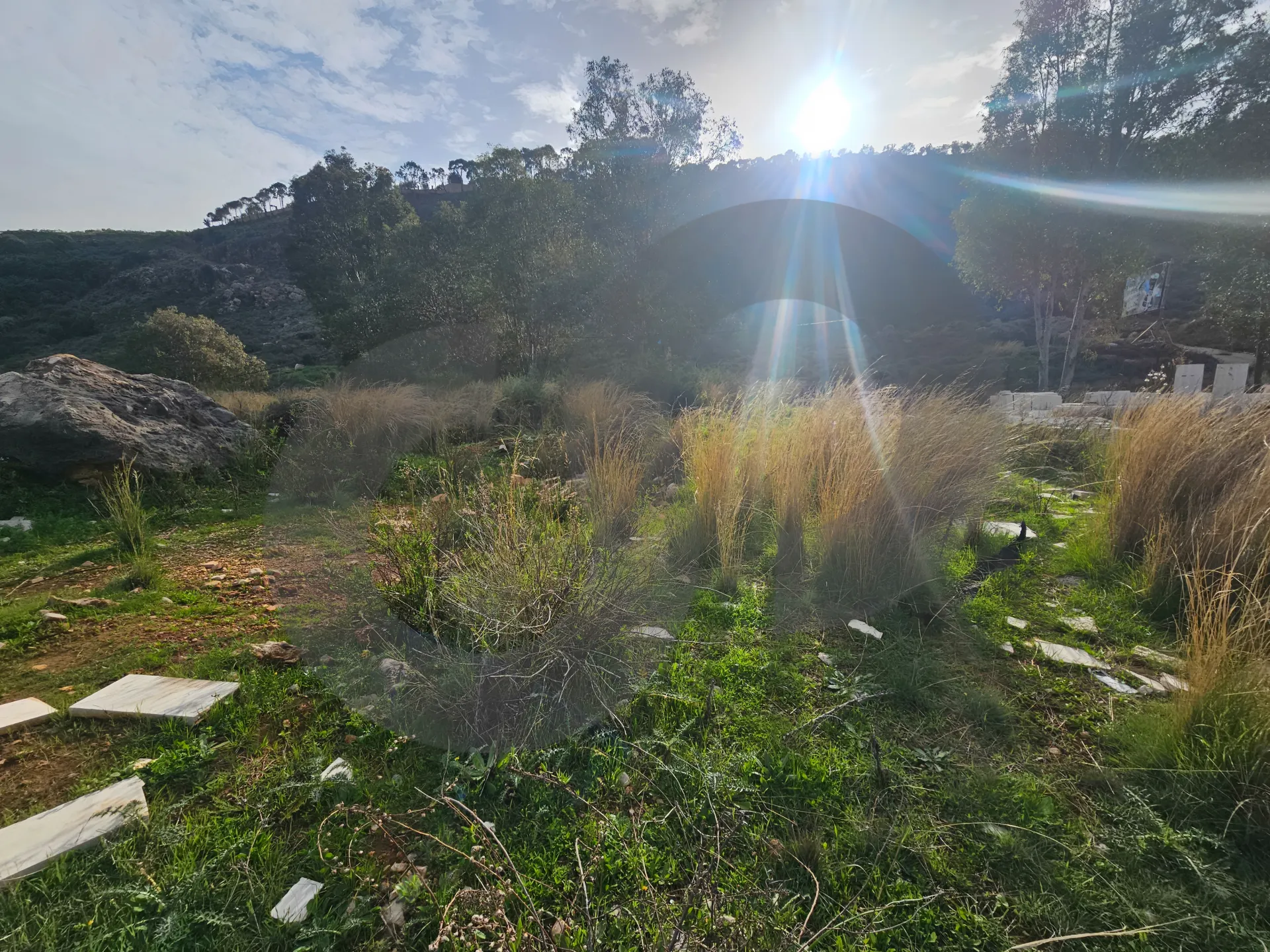 Land for Sale in Koura