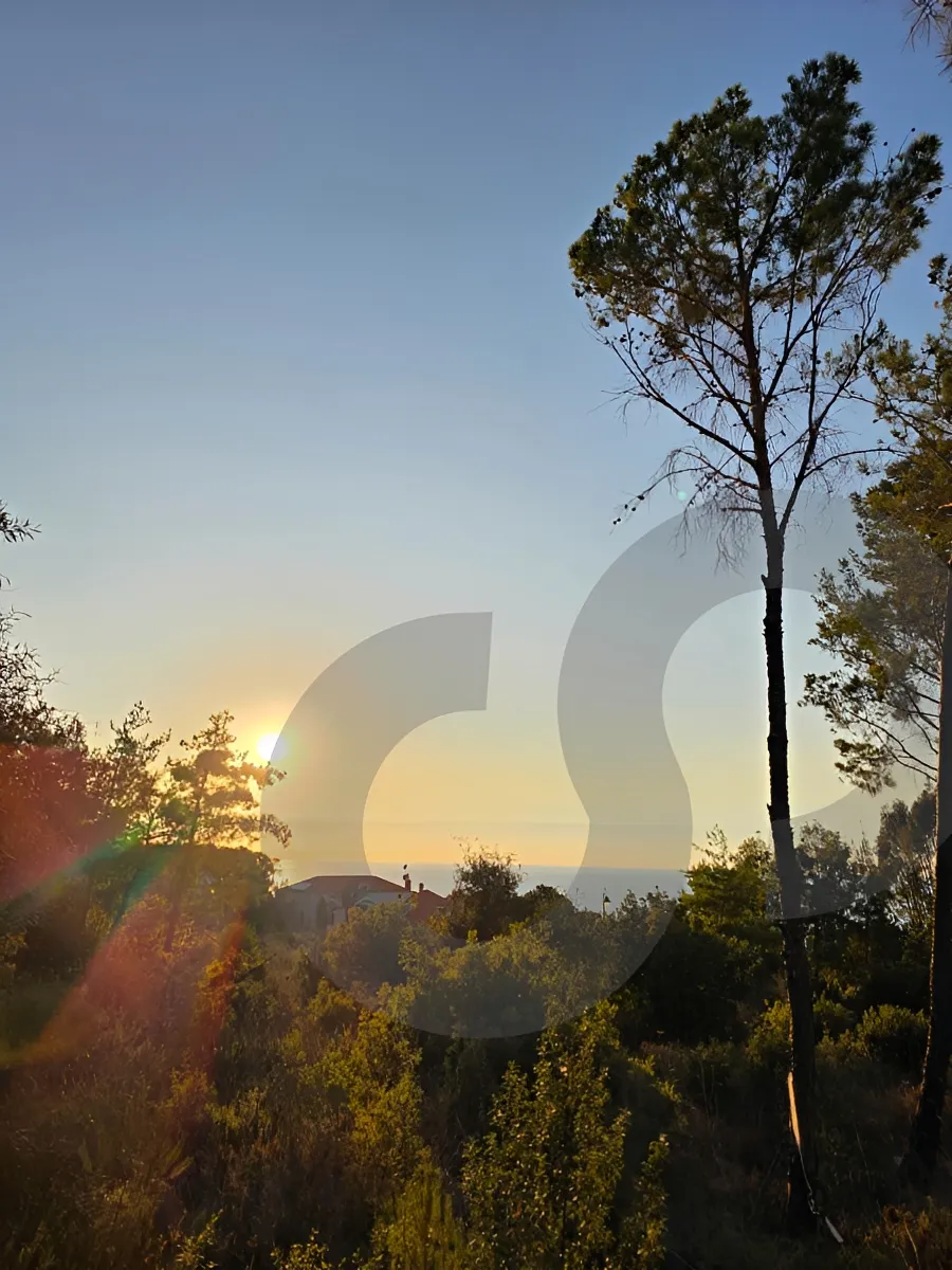 Land for Sale in Mechref, Lebanon