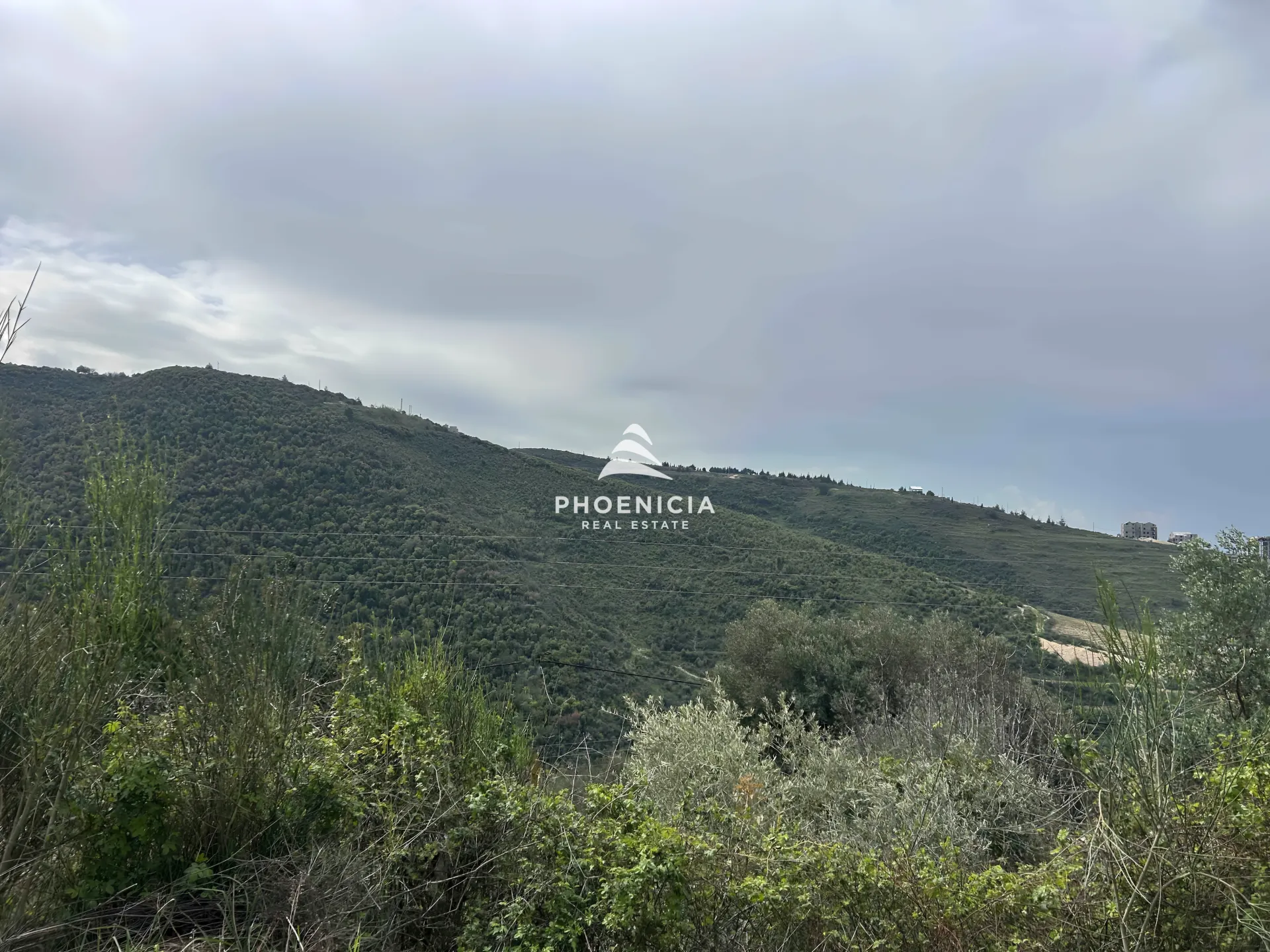 Land for Sale in Habboub