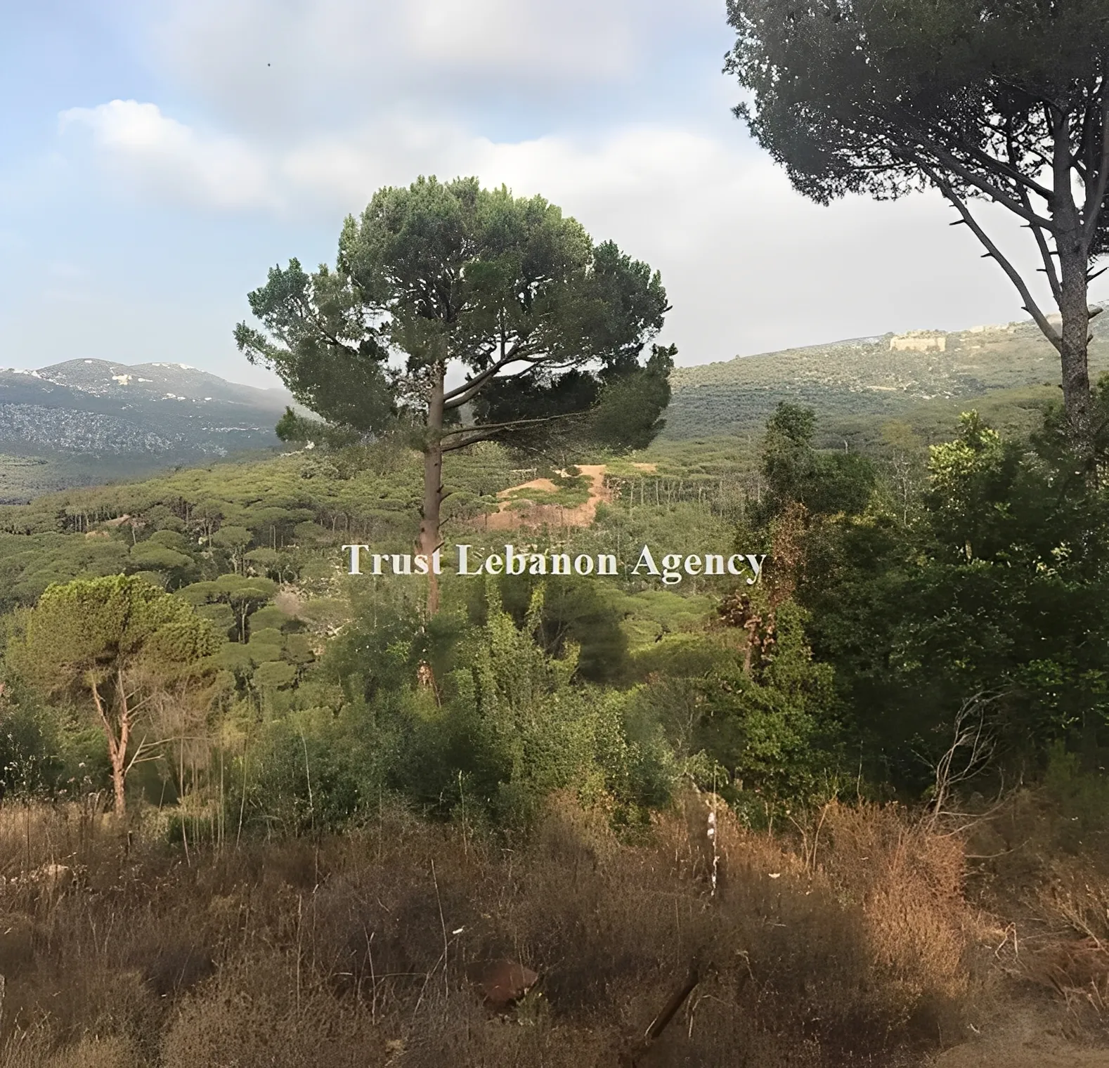 Land for Sale in Baabda Ksaybeh Lebanon