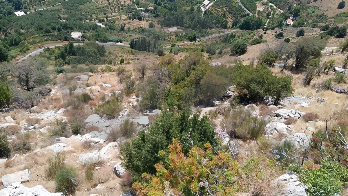 Land for Sale in Qartaba, Lebanon
