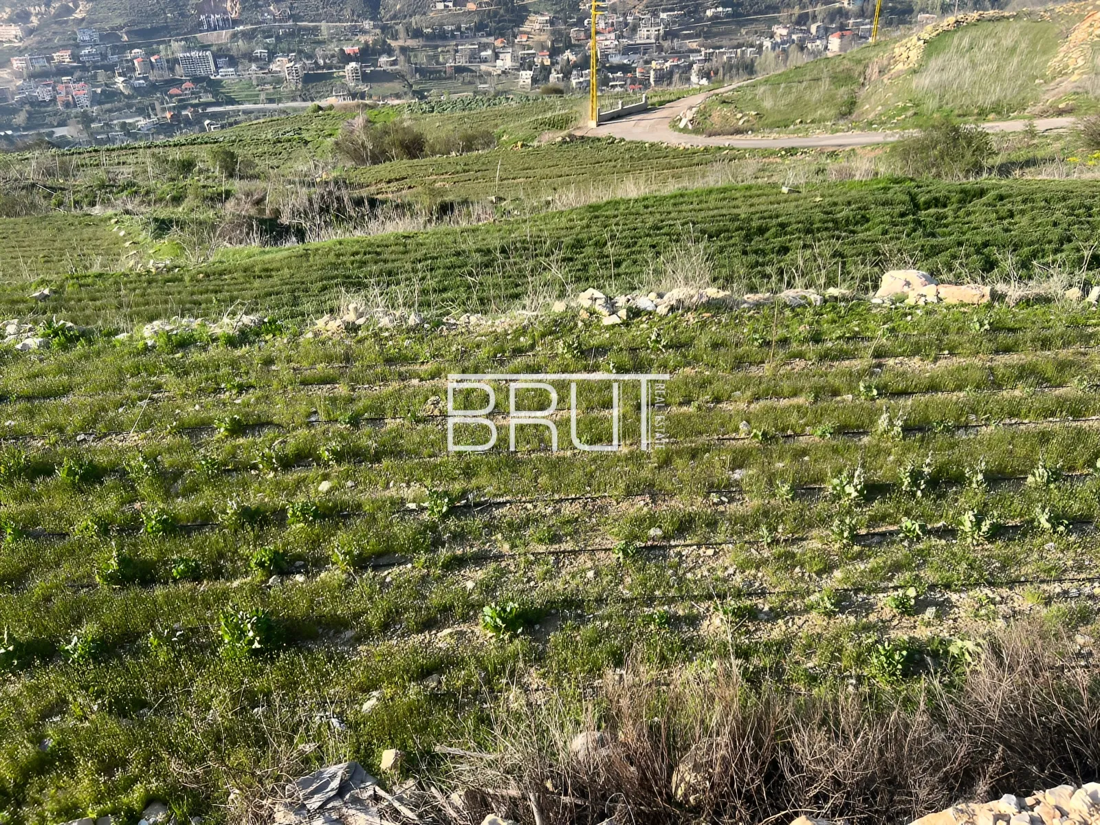 Land for Sale in Faqra