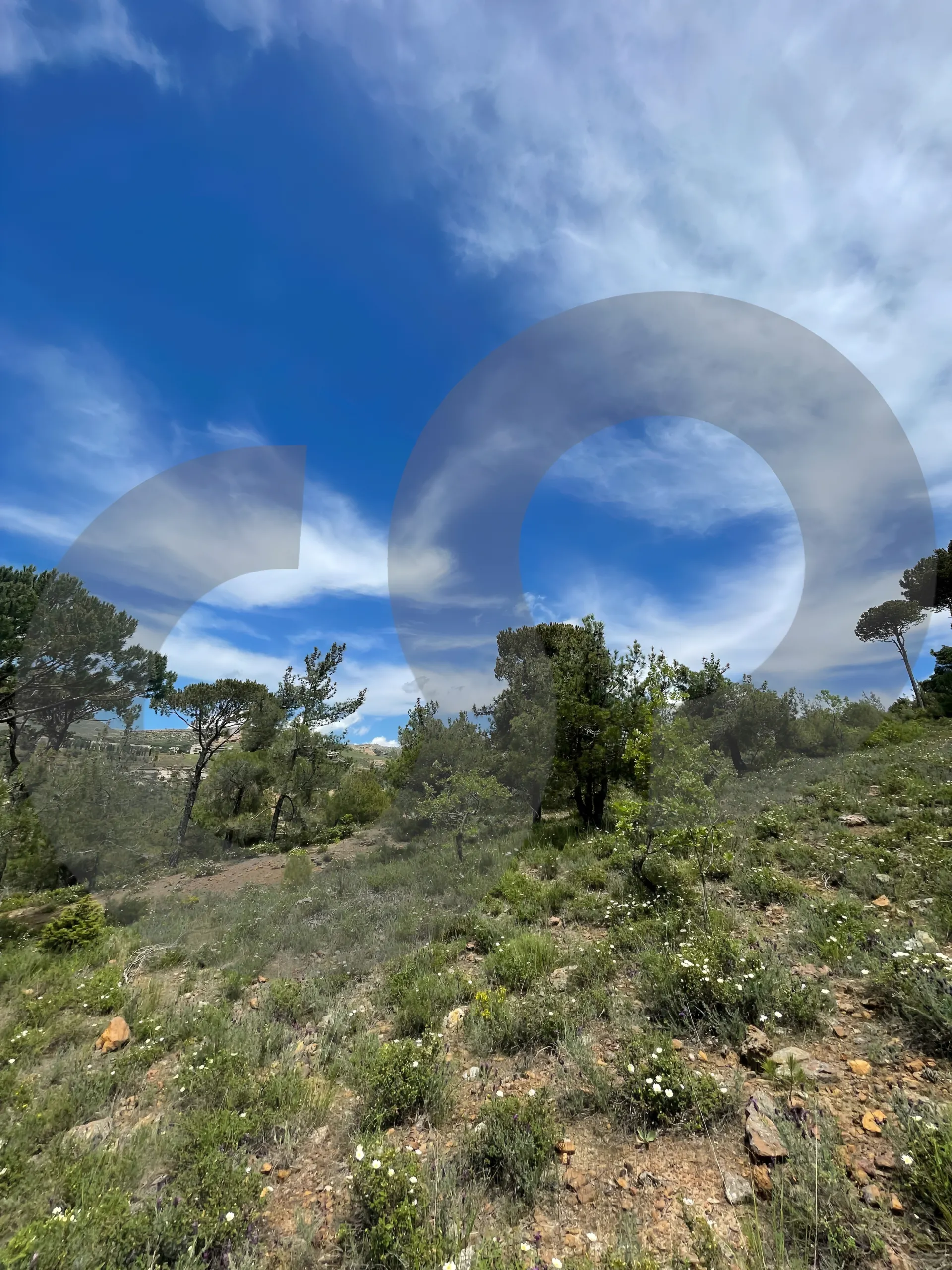 Land for Sale in Aley