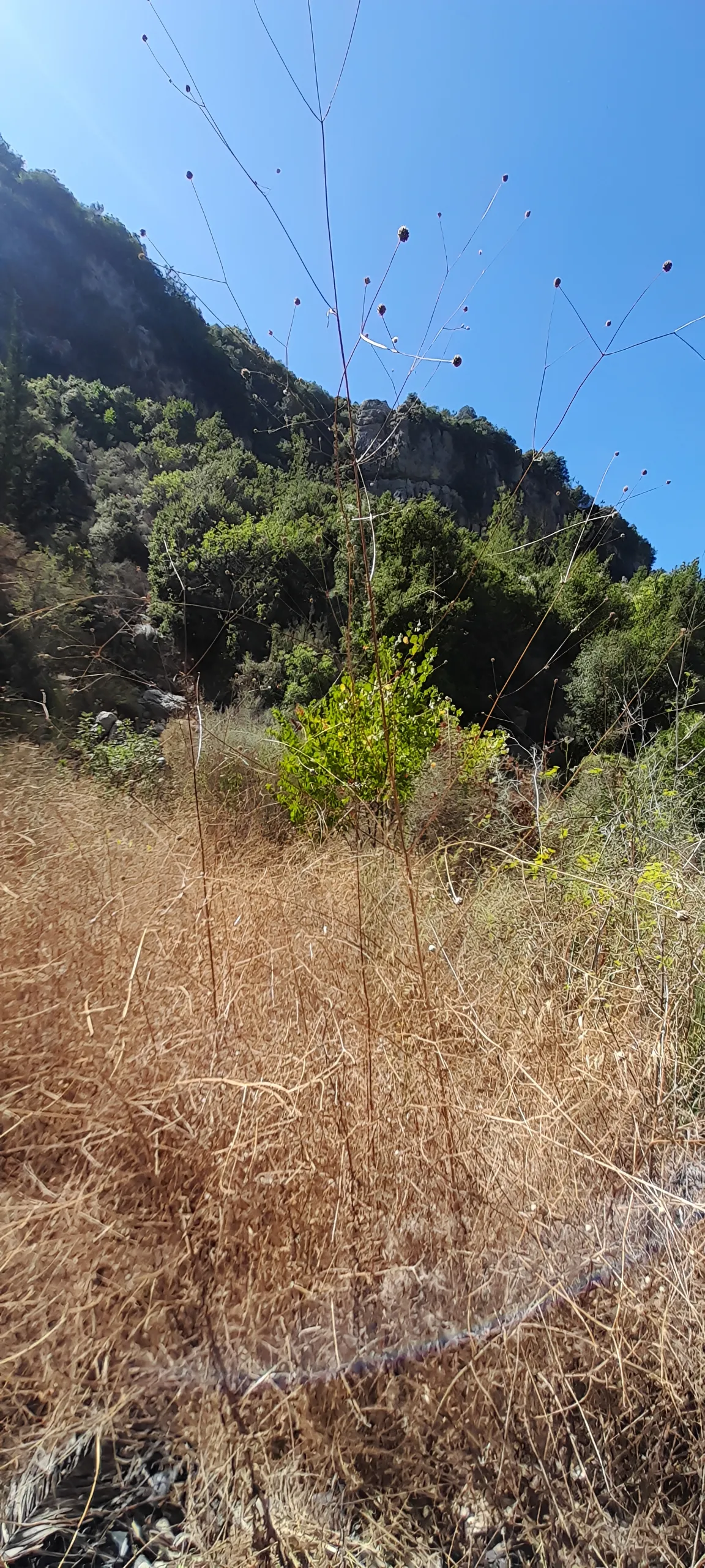 Land for sale in Yahchouch, lebanon