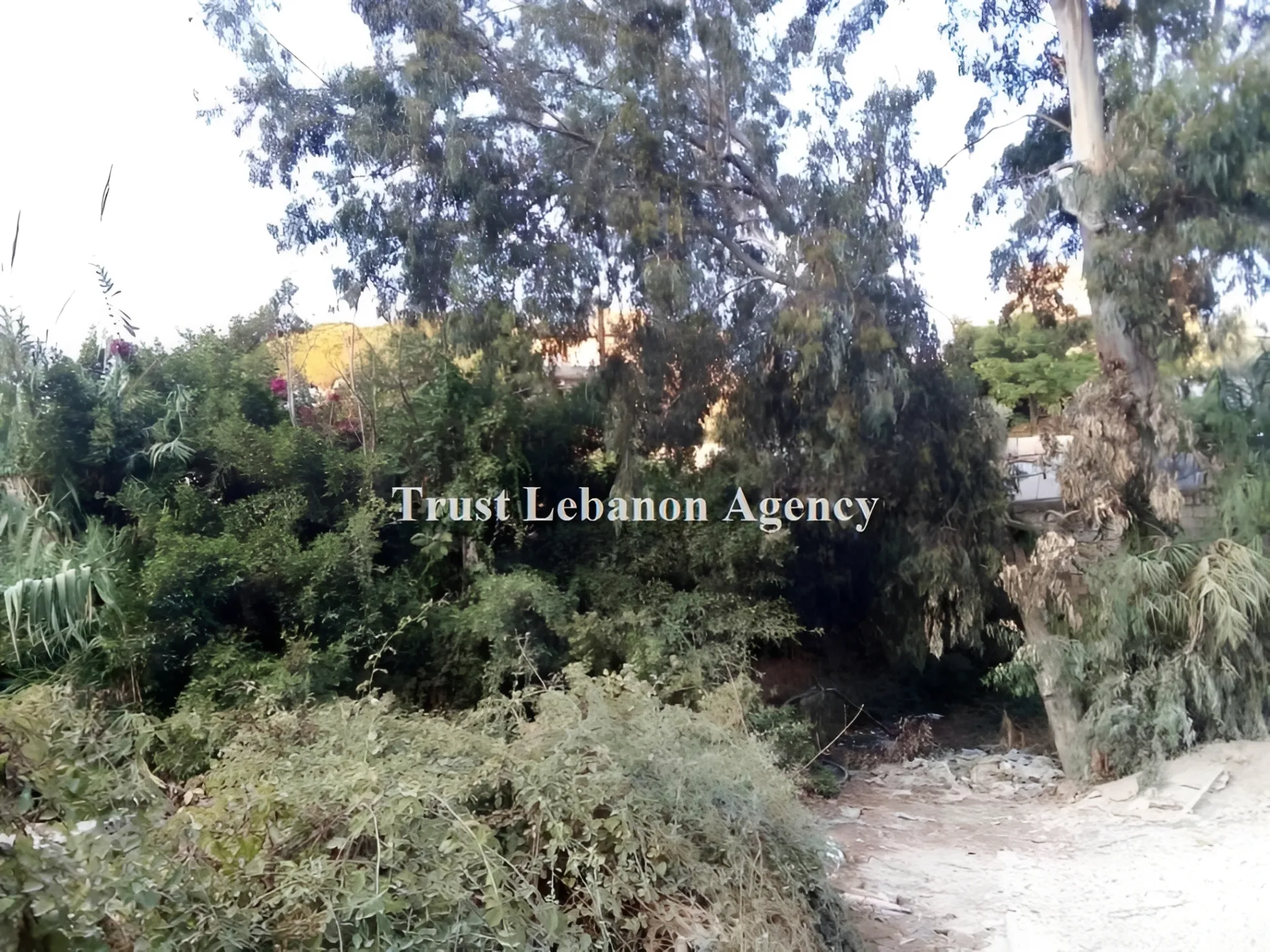 Land for Sale in Alay, chweifat
