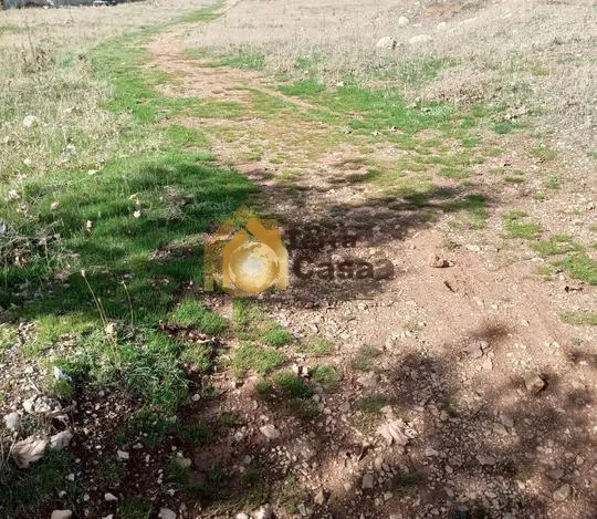 Land for sale in Jdita