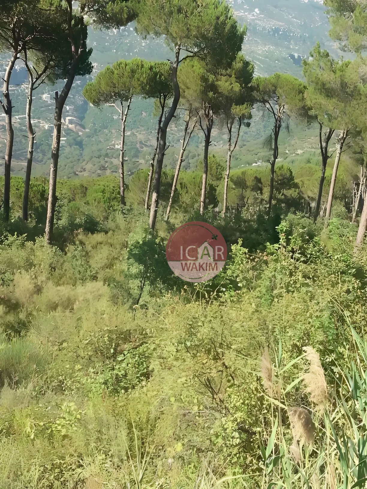 Land for Sale in Salima