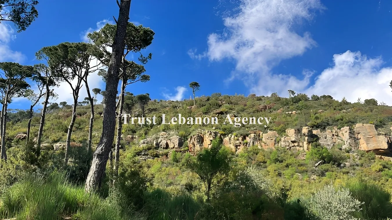 Land for Sale in Metn Al Kaakour Lebanon