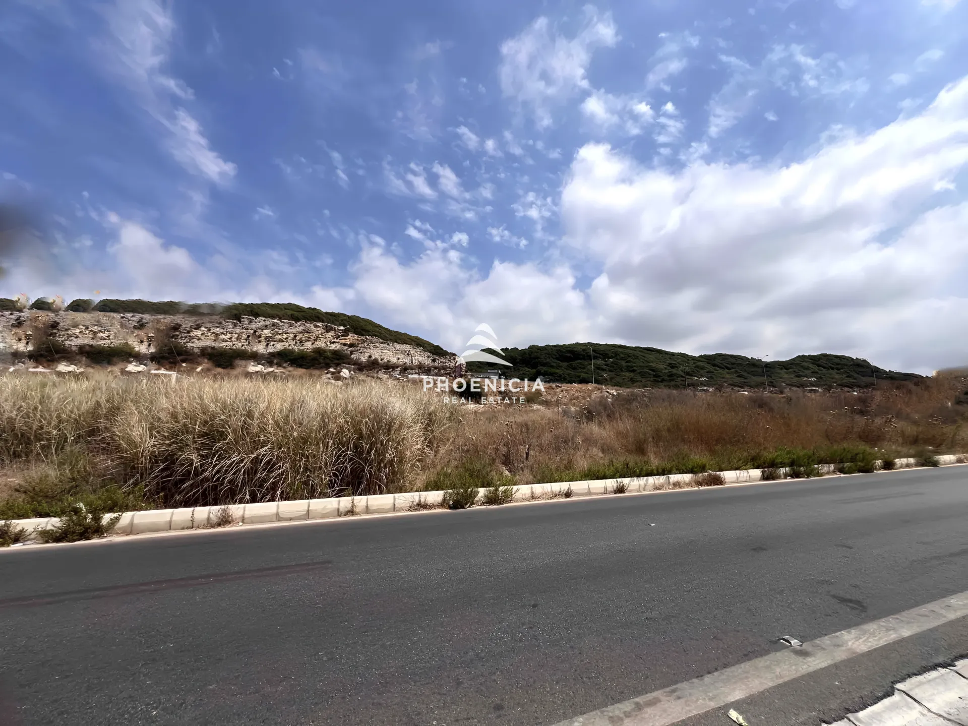 Land for Sale in Aamchit