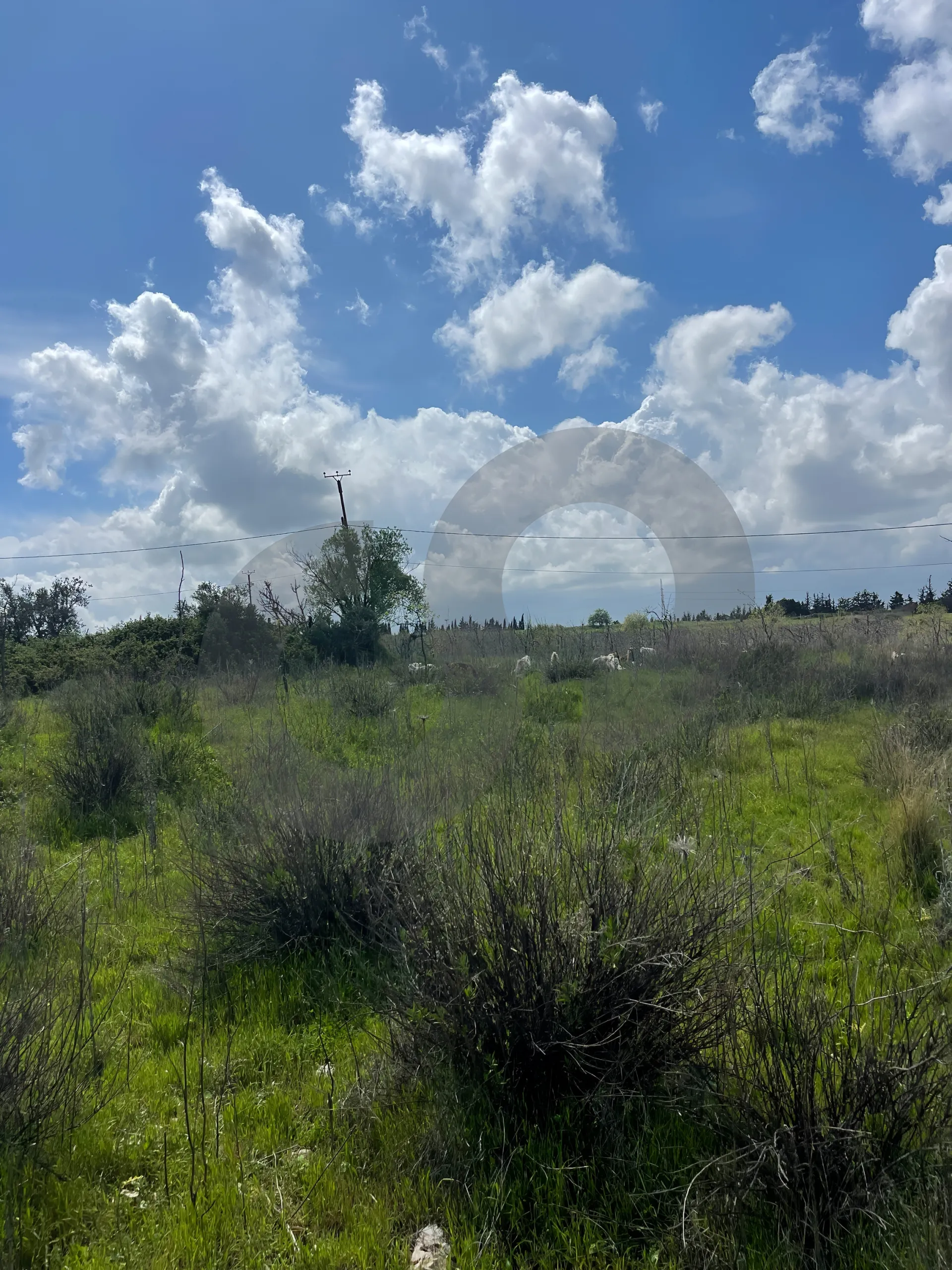 Land for Sale in Zgharta