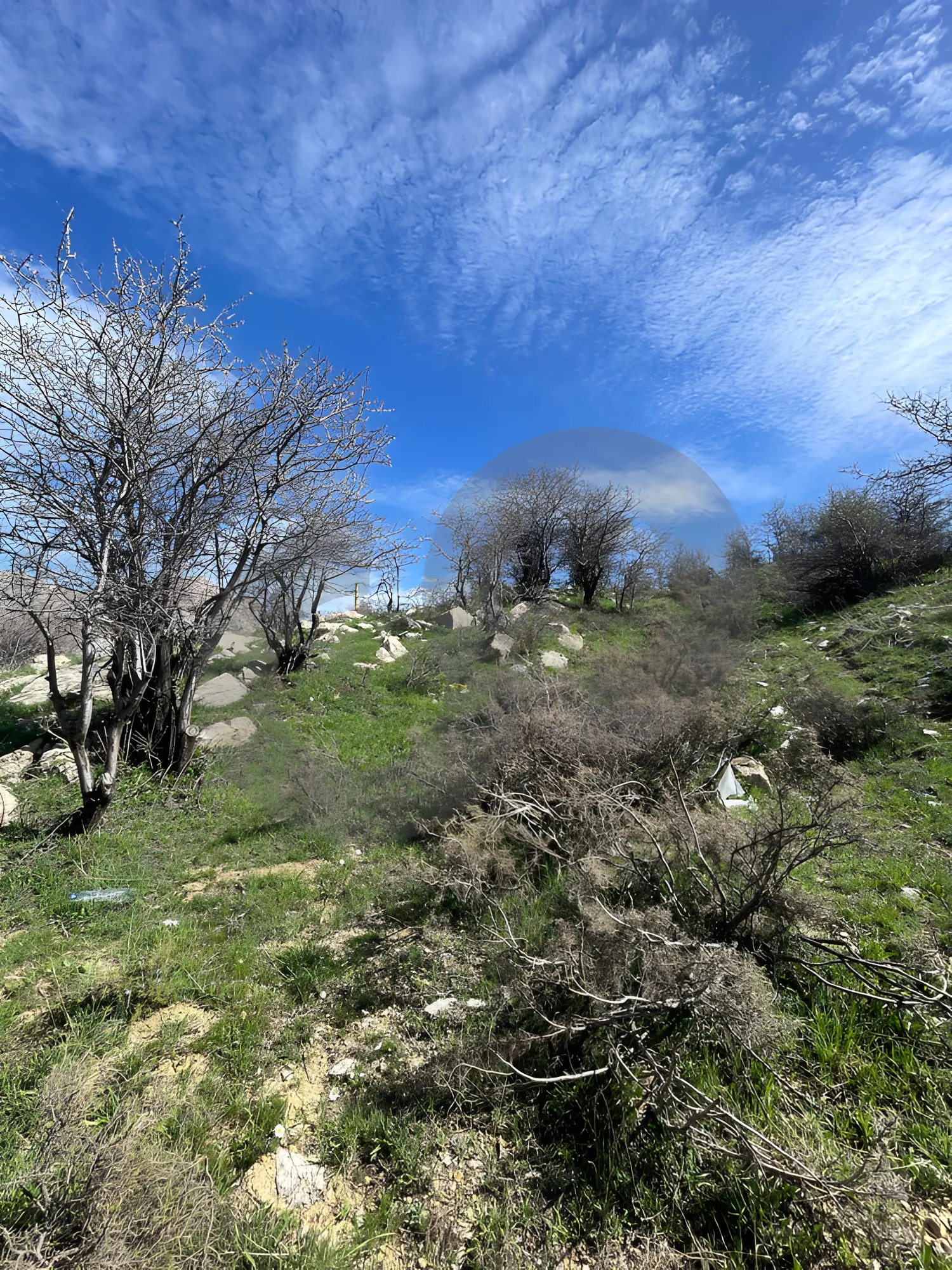 Land for Sale in Ehmej