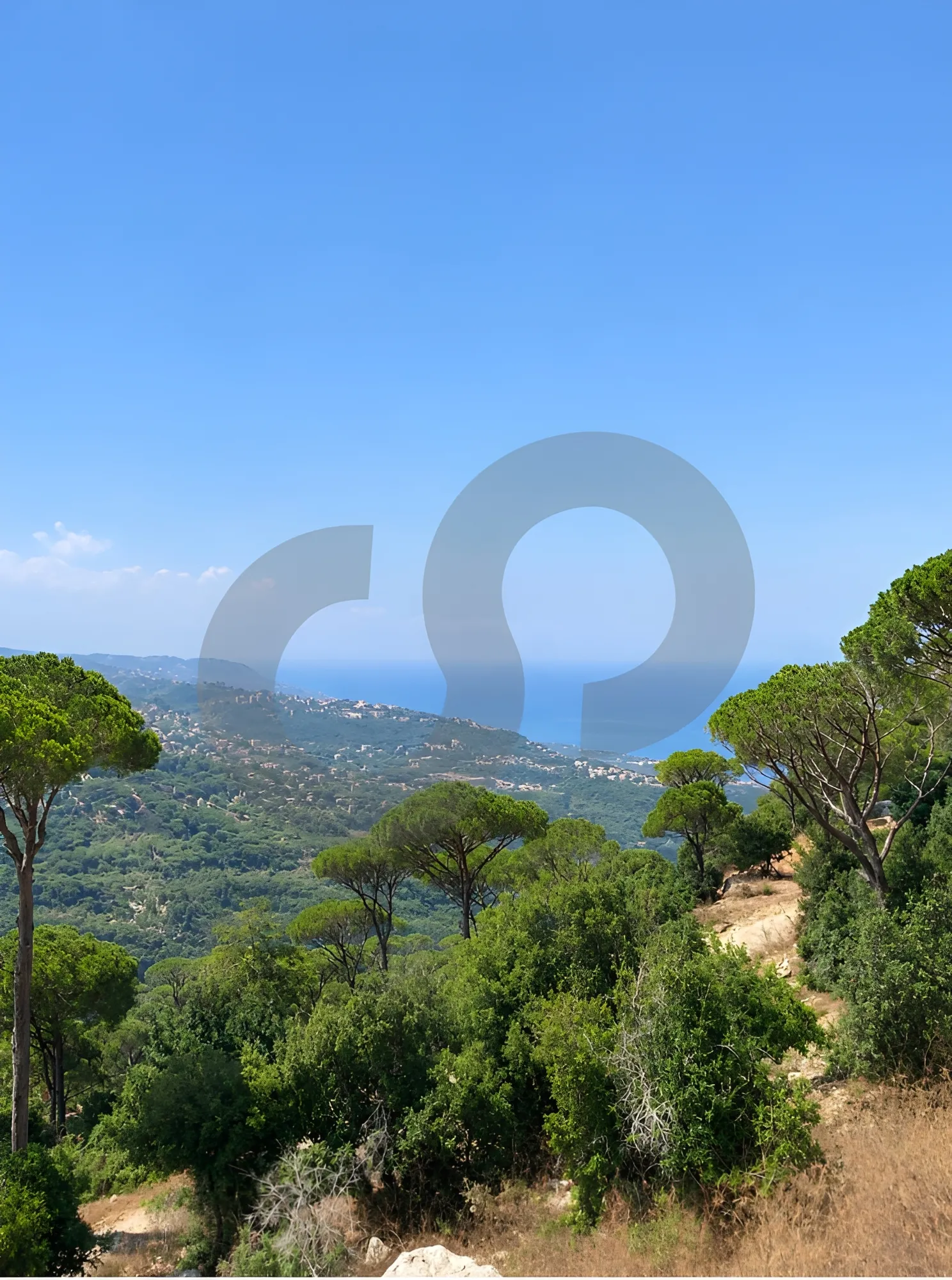Land for Sale in Ras El Matn