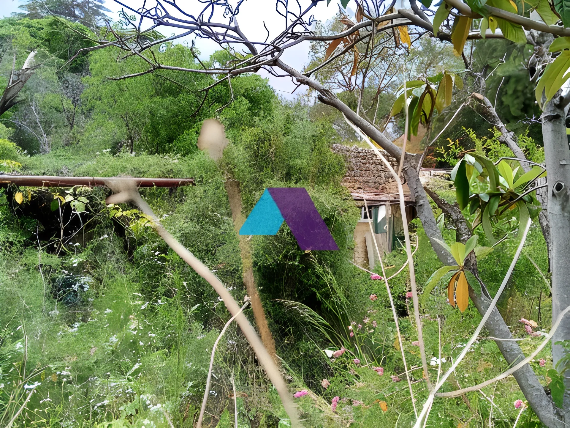 Land for Sale in Batroun