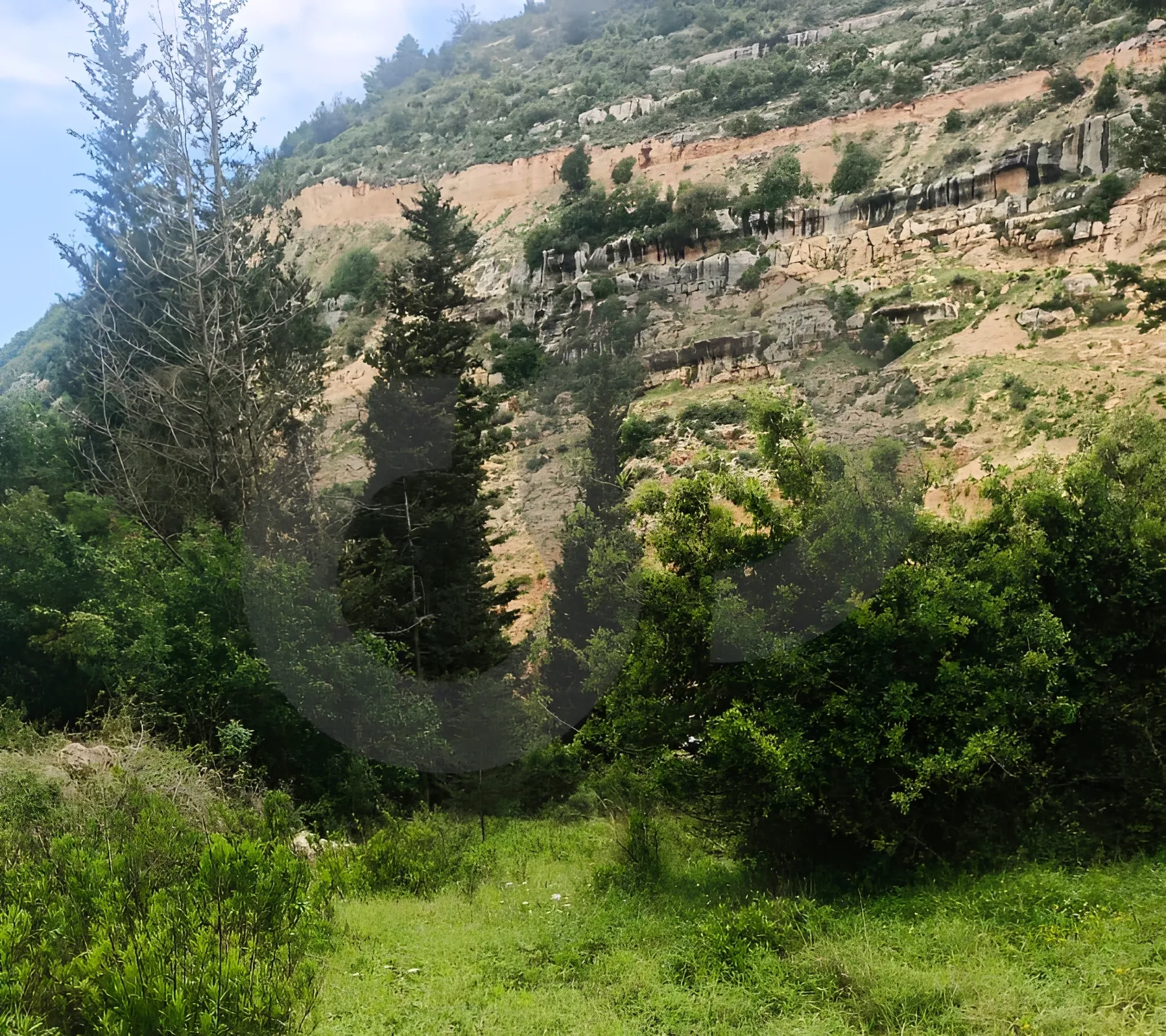 Land for Sale in Maaysrah