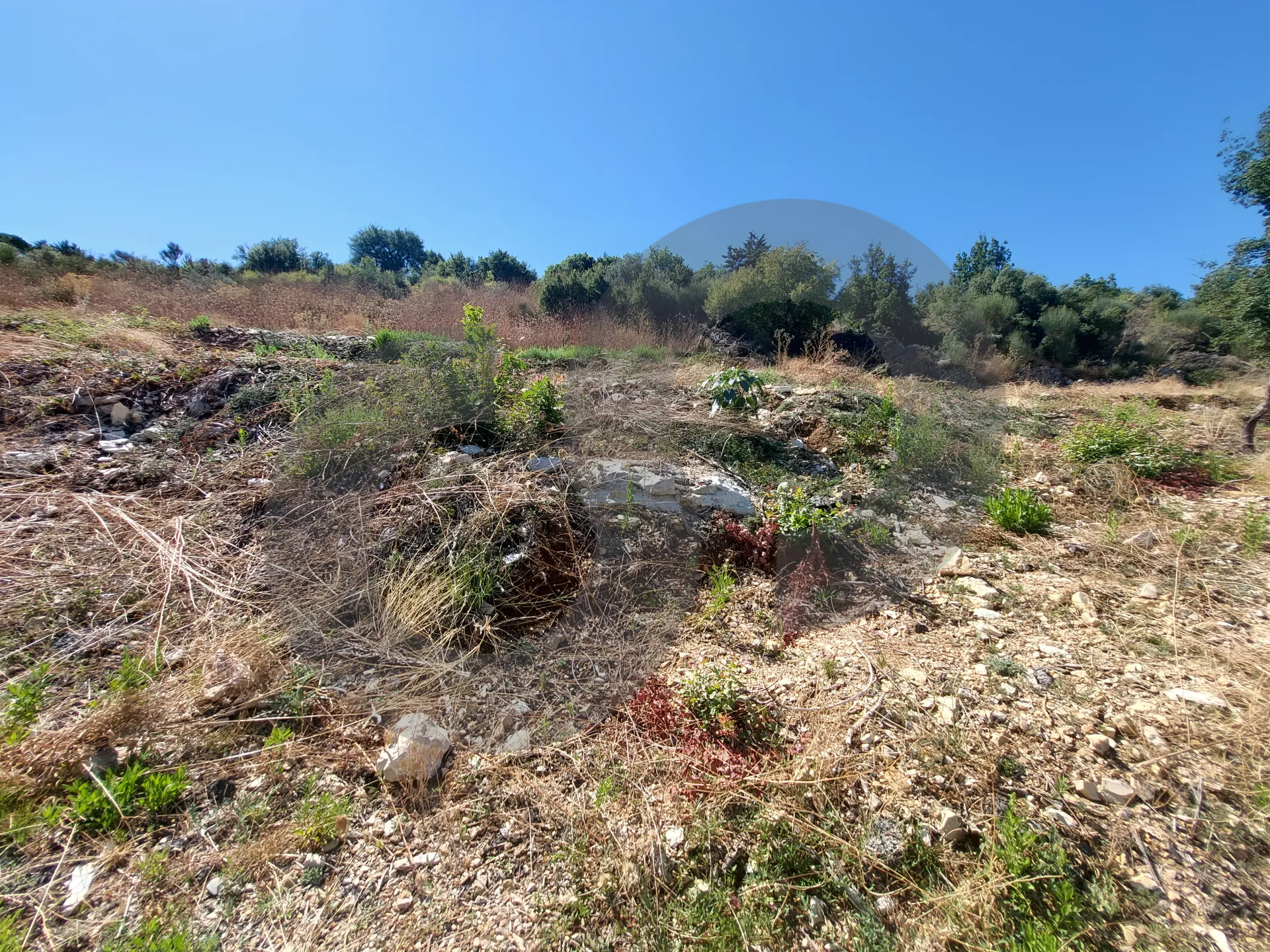 Land for Sale in Batroun