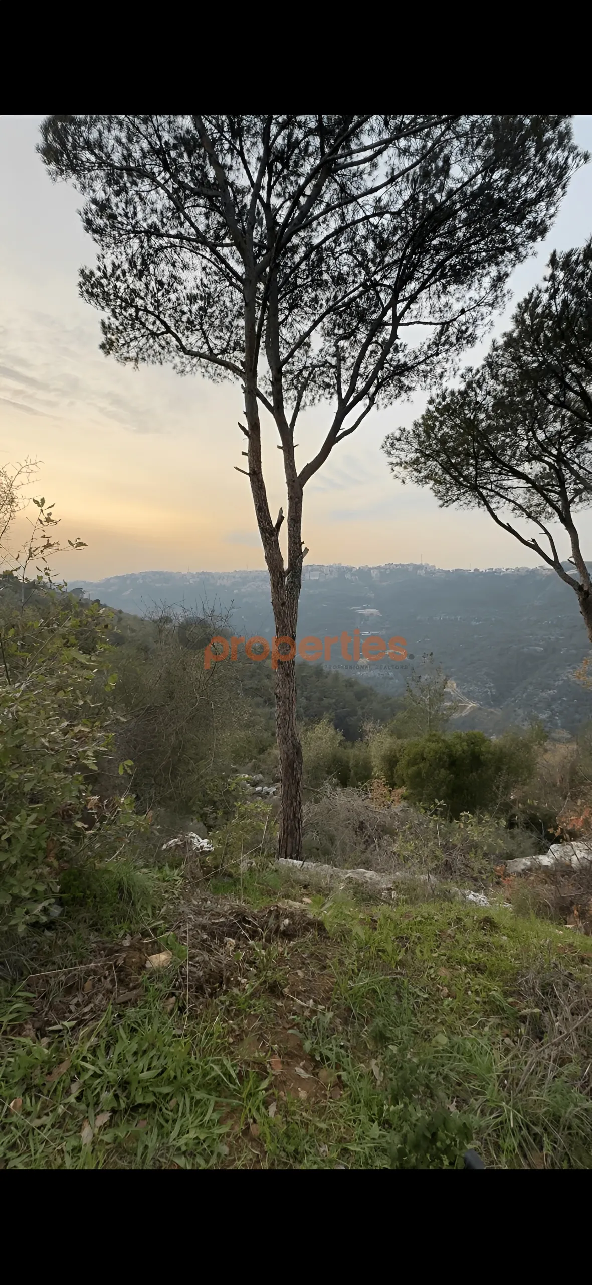 Residential Land for Sale in Qortadah