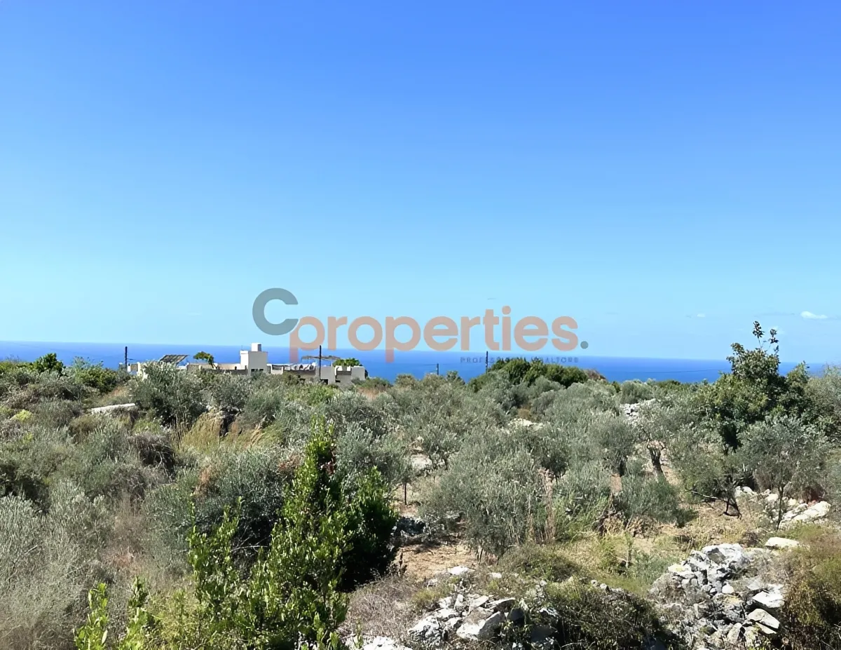 Land for Sale in Monsef