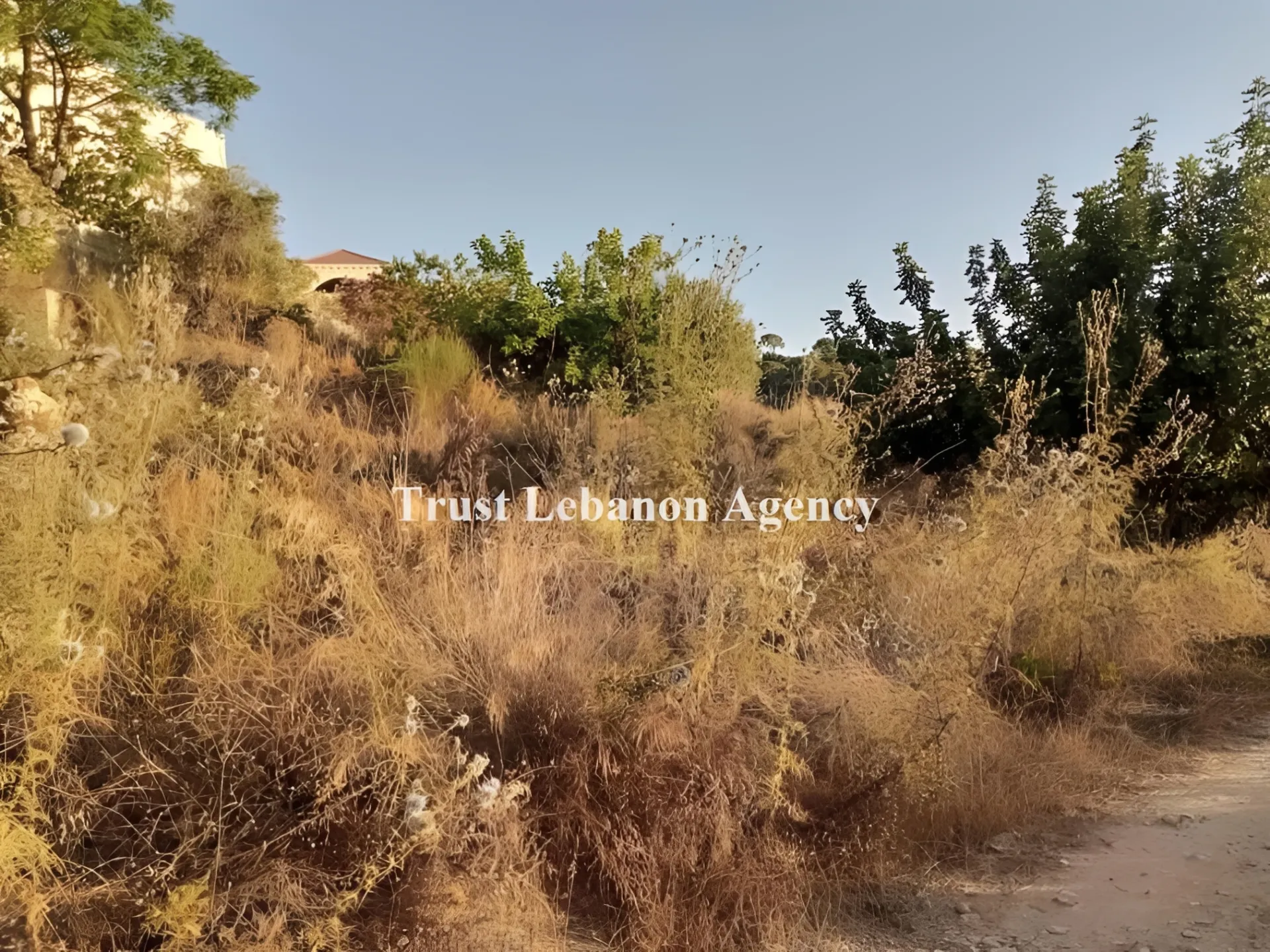 Land for Rent in Alay, Ain Ounoub