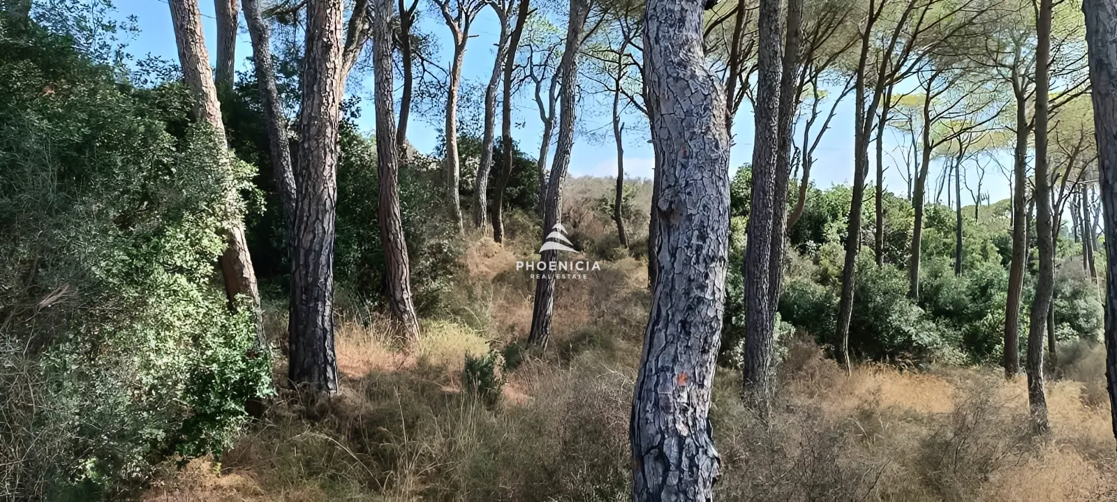 Land for Sale in Gharzouz