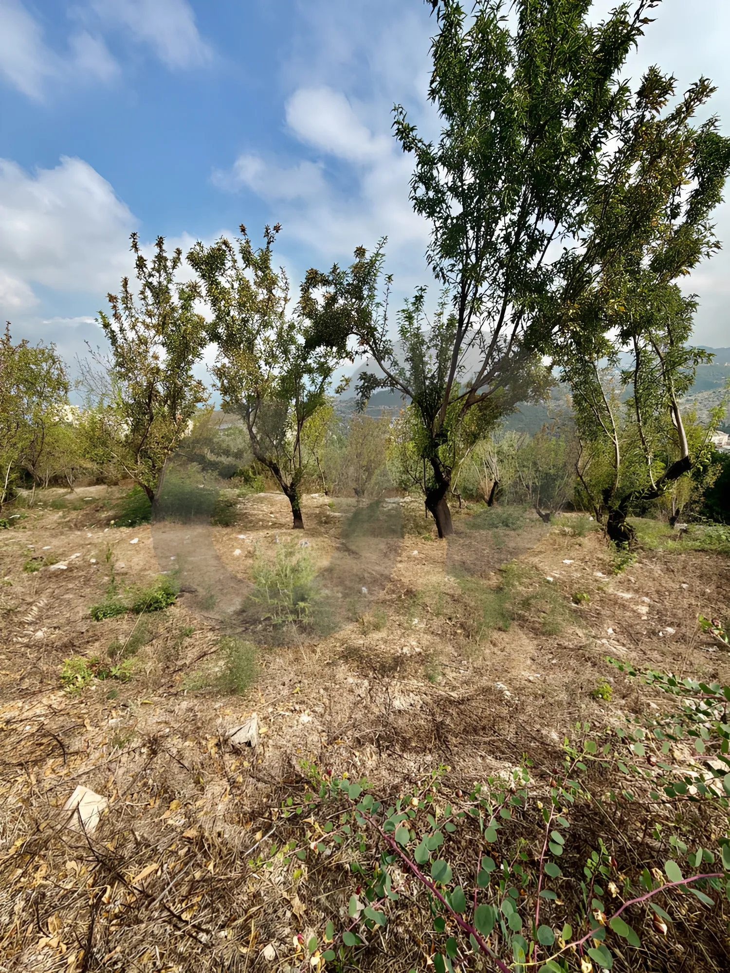 Land for Sale in Fatqa