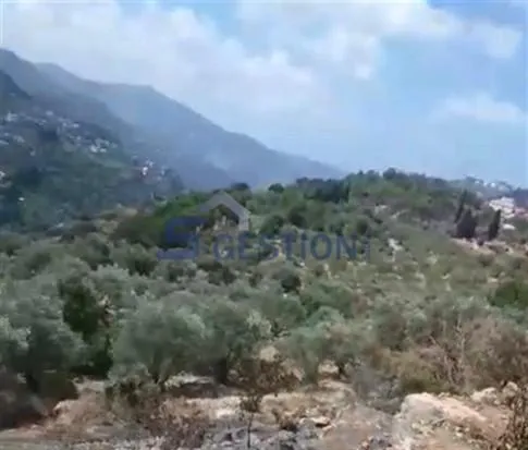 Land for Sale in Deir El Qamar
