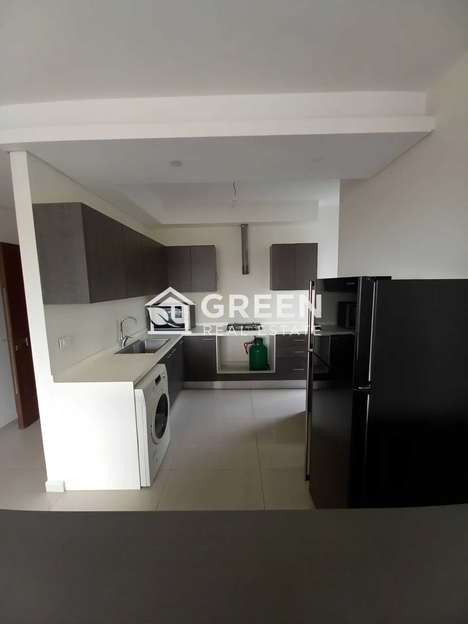 Apartment for rent in Bsalim