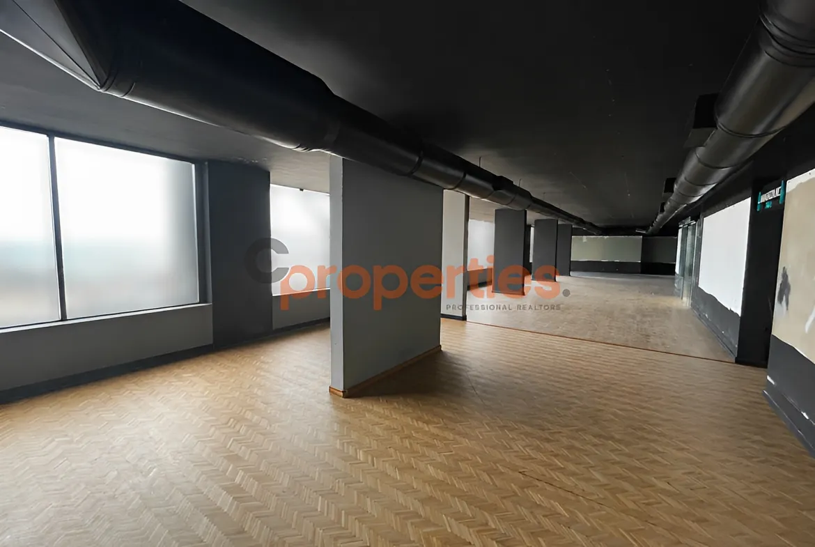 Office for Rent in Saifi Village