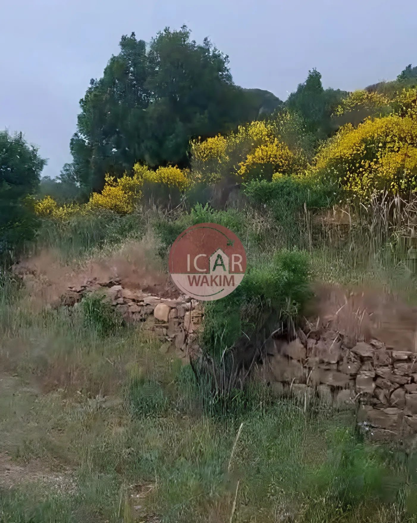 Residential Land for sale in Douma, Lebanon