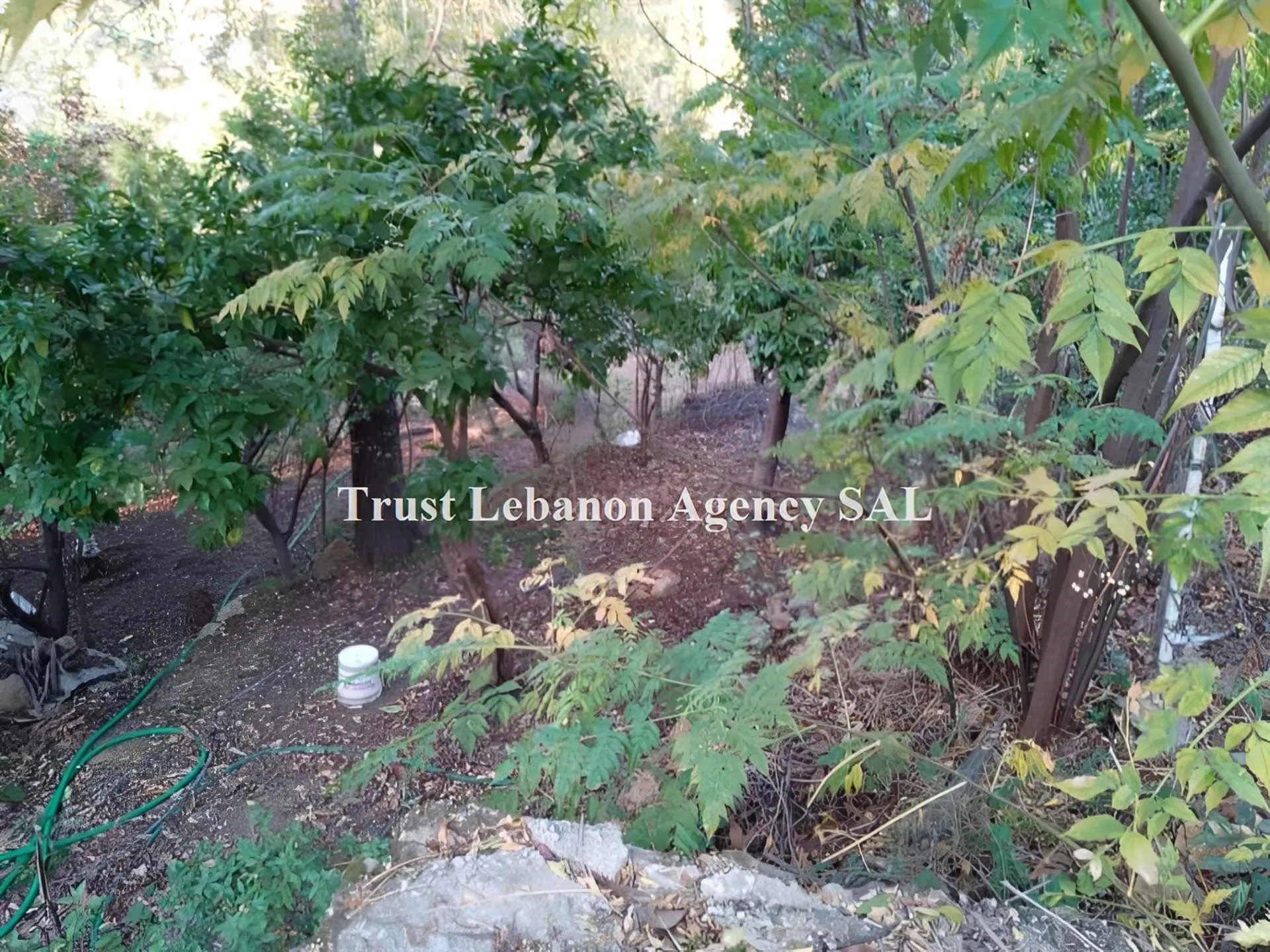 Land for Sale in Baabda Bleibel Lebanon