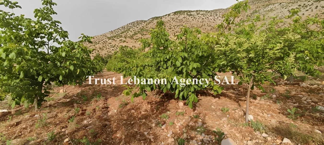 Land for Sale in Rashaya