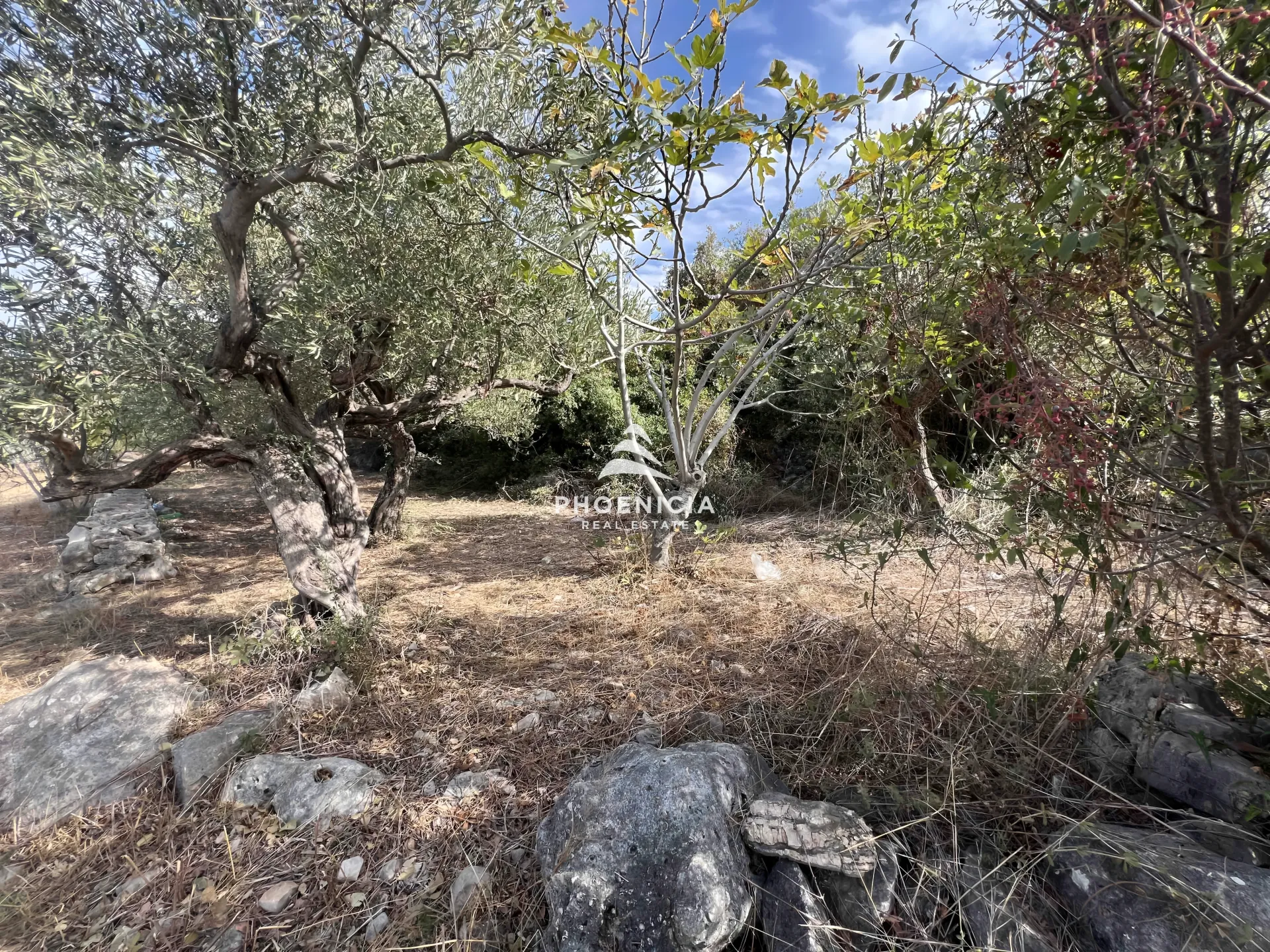 Land for Sale in Chikhane