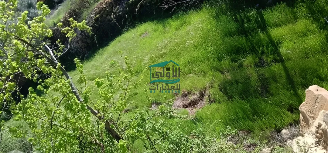 Land in مغيره، جبيل، lebanon