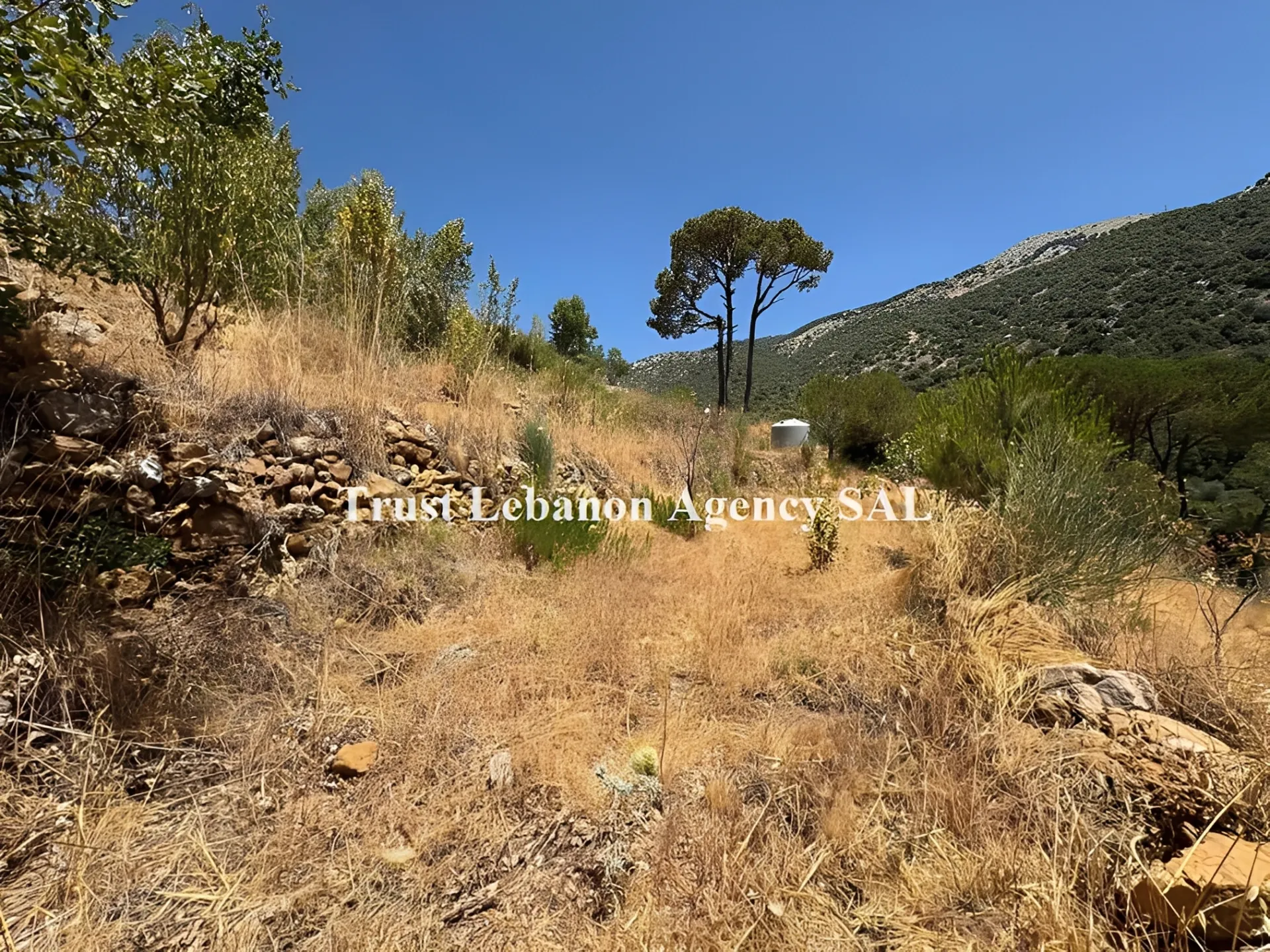 Land for Sale in Chouf