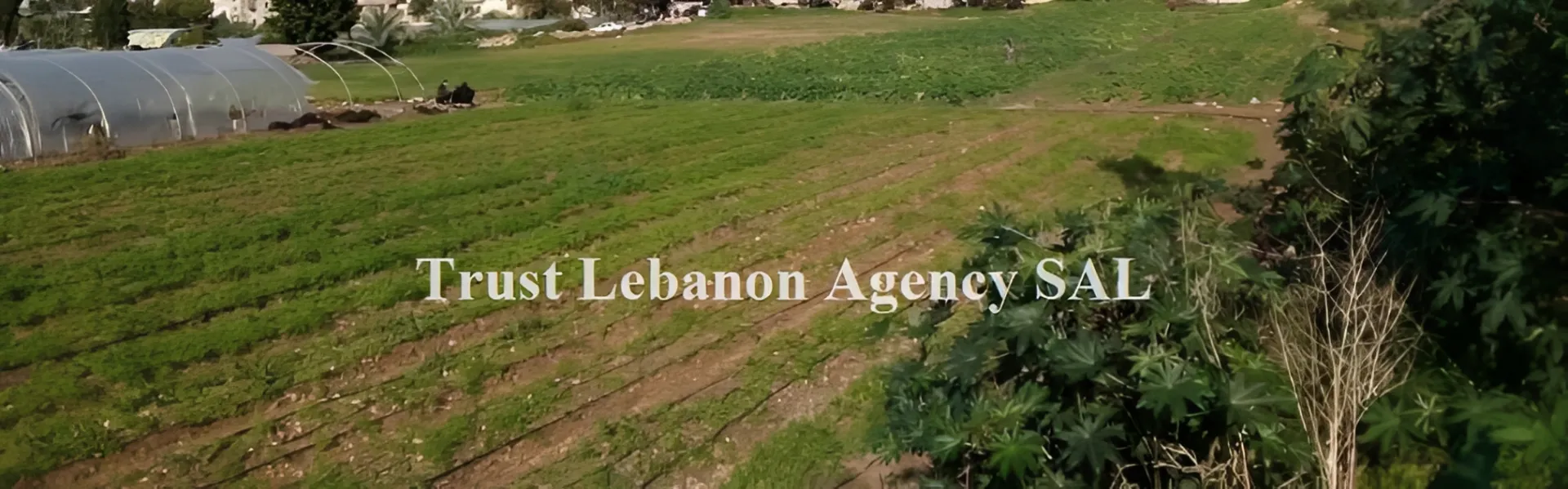 Land for Sale in Alay, chweifat