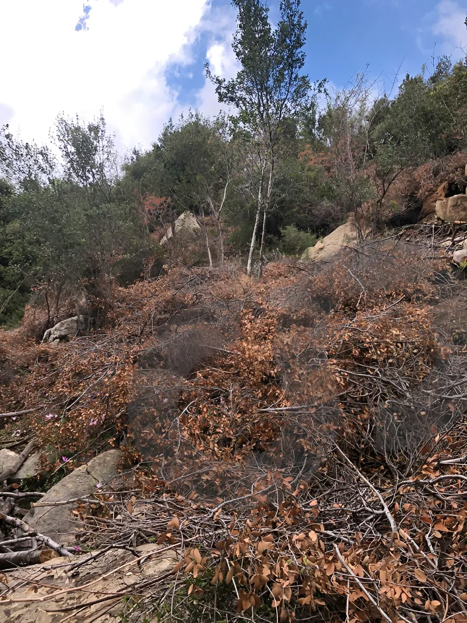 Land for Sale in Other