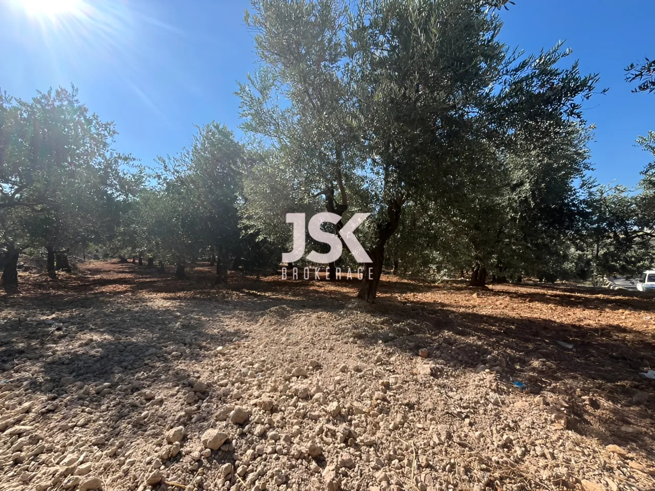 Land for Sale in Koura