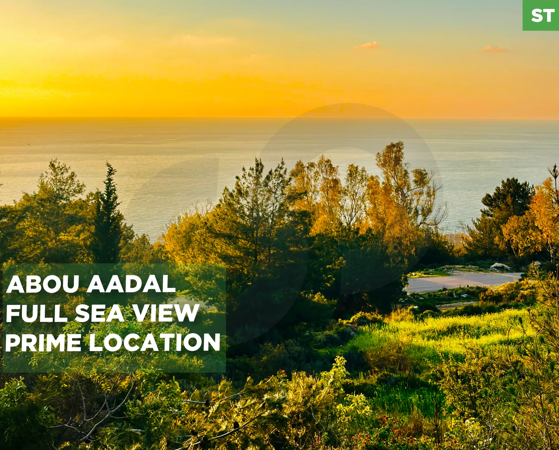 Land for Sale in Adma w Dafnah