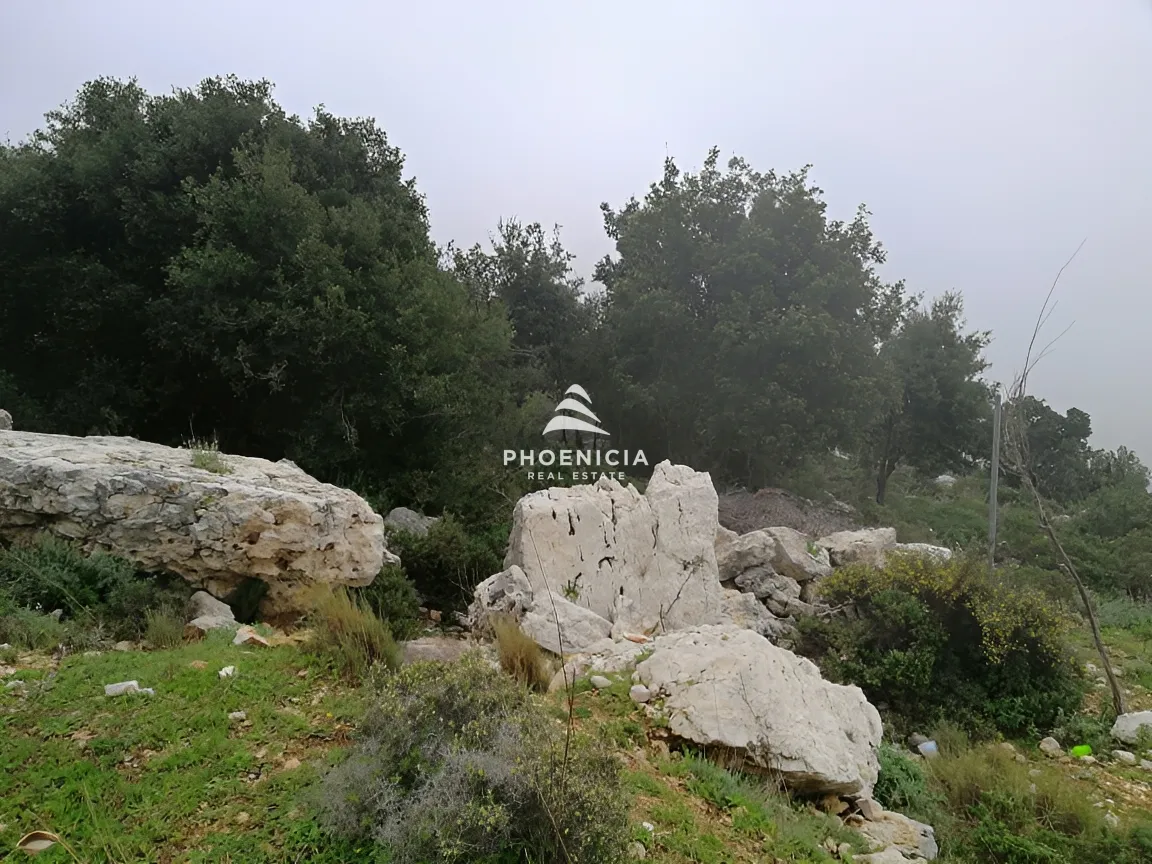Land for Sale in Blat