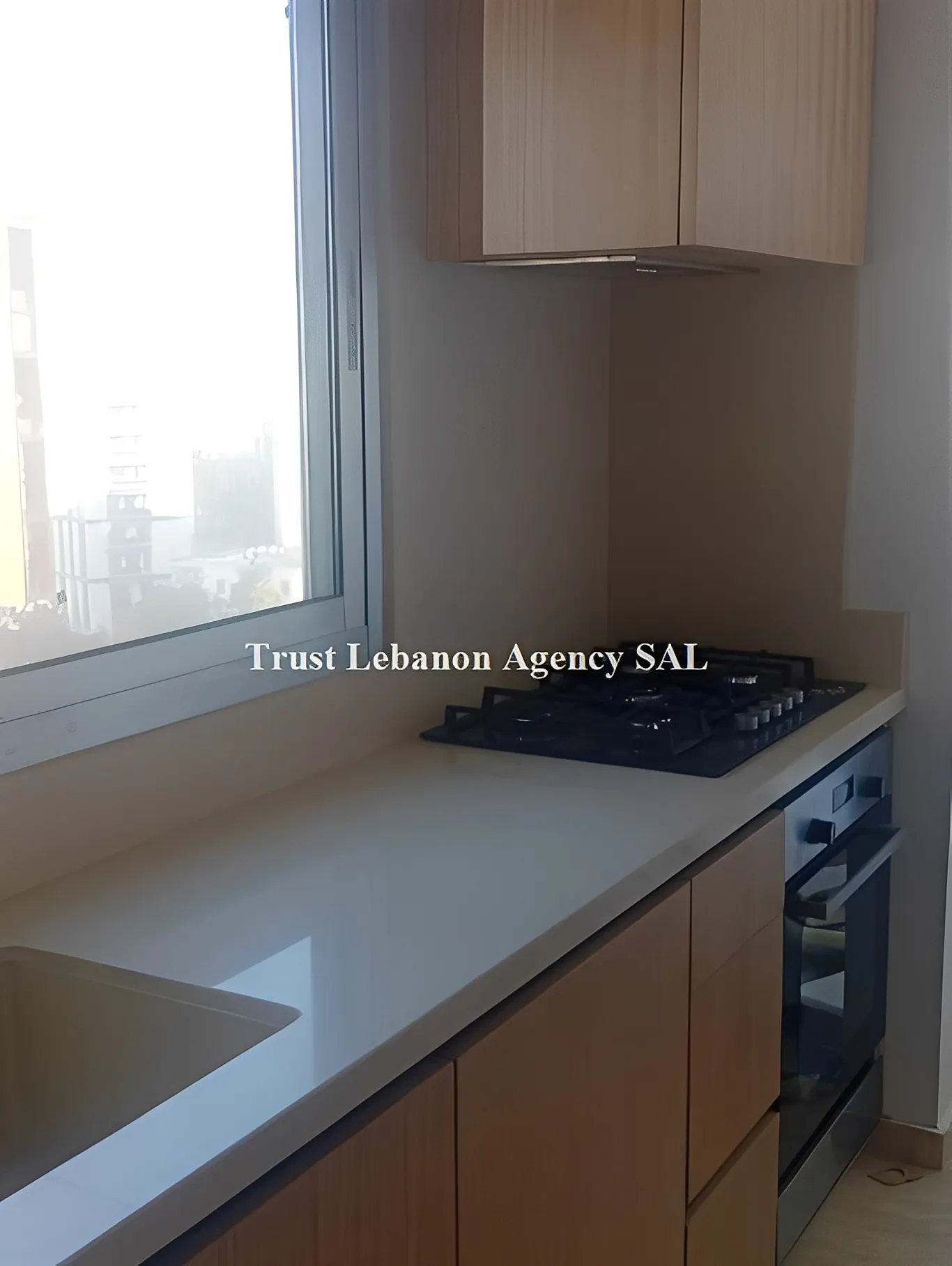 Apartment for Rent in Achrafieh, Rmeil Lebanon