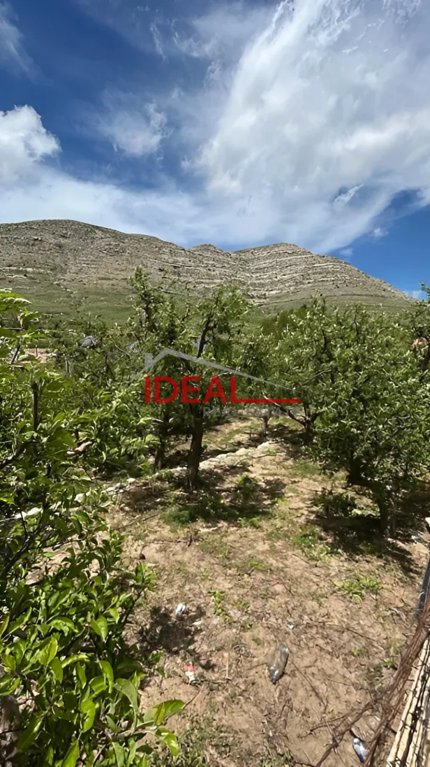 Residential Land for sale in Faraya, Lebanon