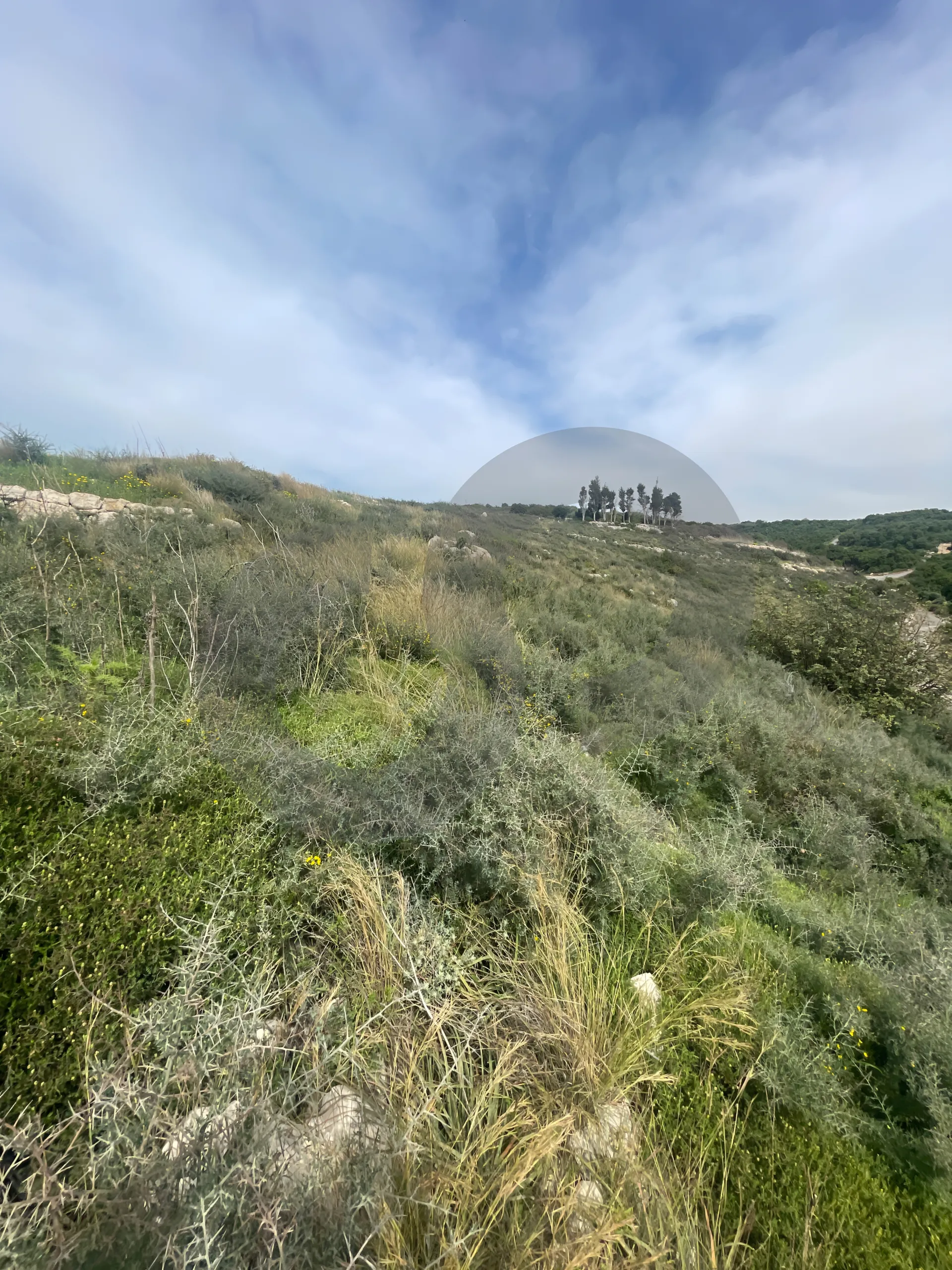 Land for Sale in Mansourieh